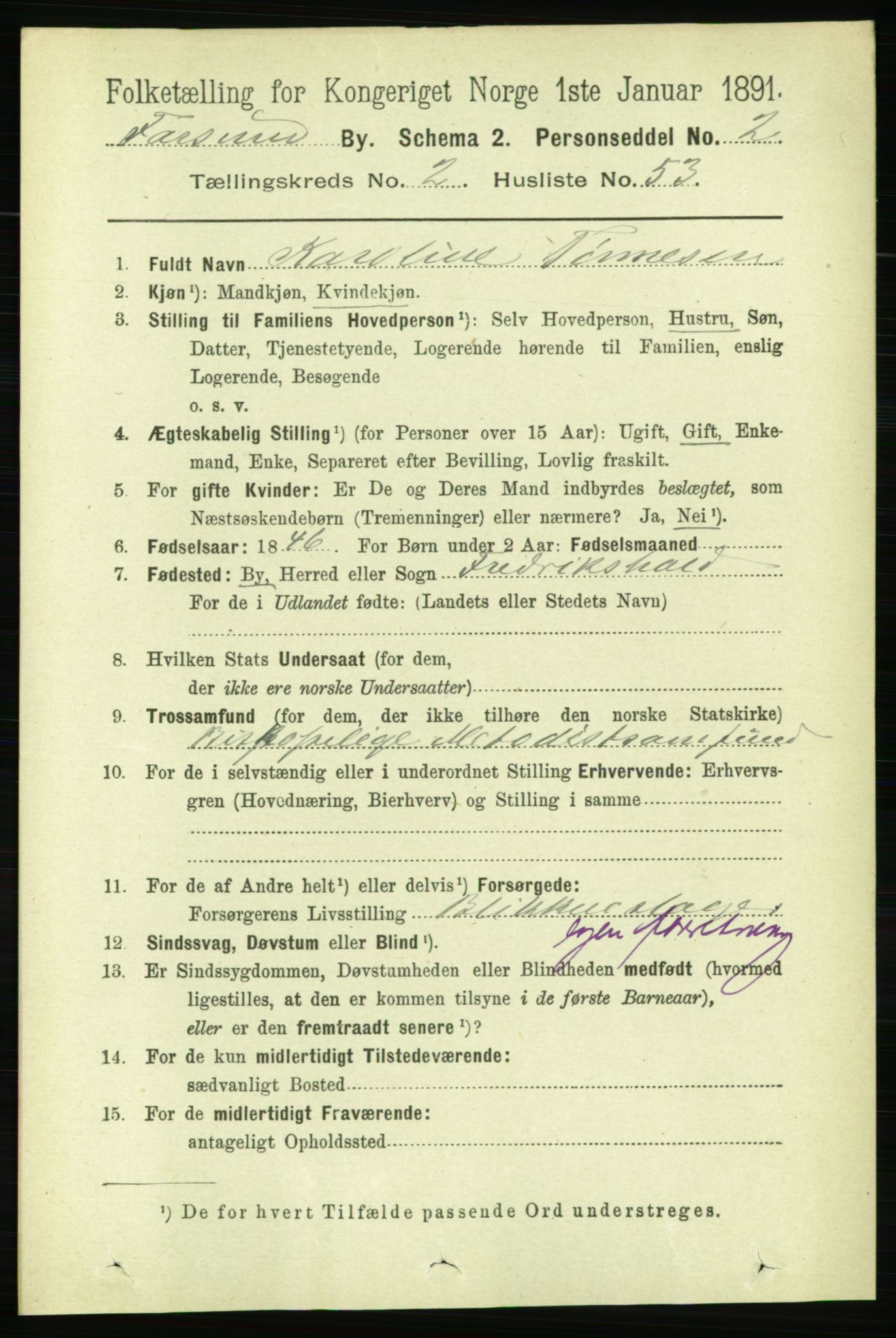 RA, 1891 census for 1003 Farsund, 1891, p. 1294