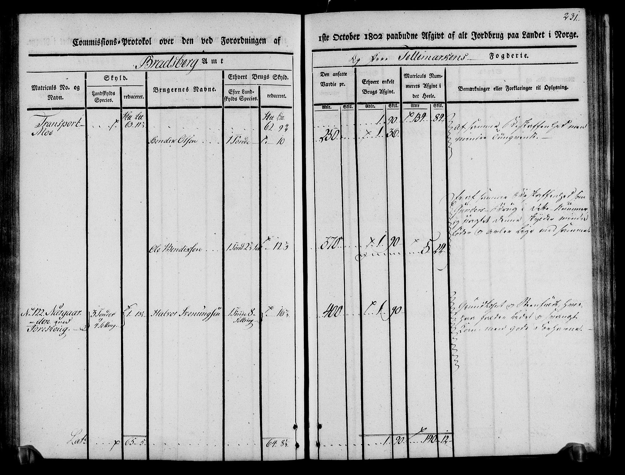 Rentekammeret inntil 1814, Realistisk ordnet avdeling, AV/RA-EA-4070/N/Ne/Nea/L0075: Øvre Telemarken fogderi. Kommisjonsprotokoll for fogderiets vestre del - Kviteseid, Vinje, Moland [):Fyresdal] og Lårdal prestegjeld., 1803, p. 233