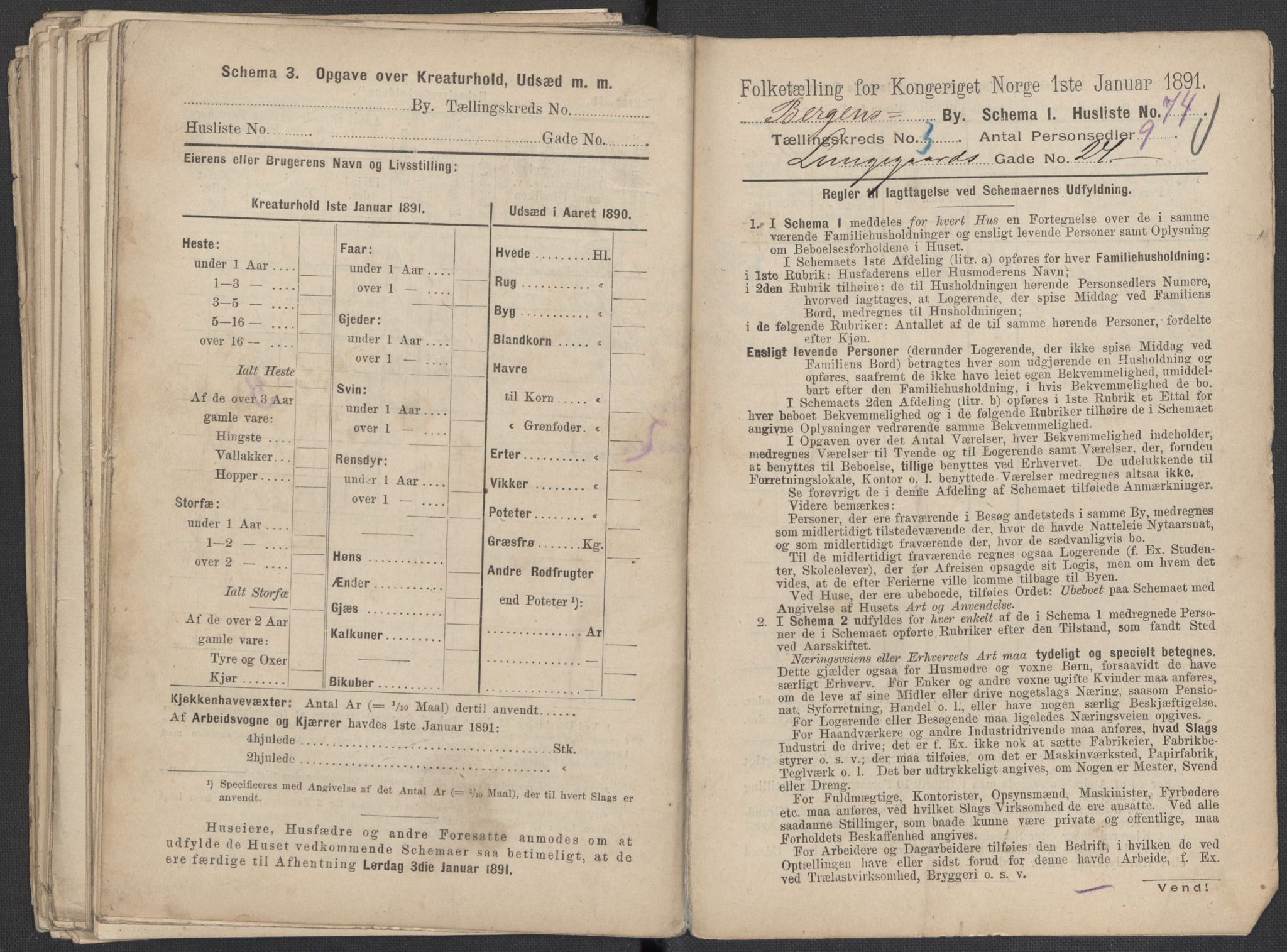 RA, 1891 Census for 1301 Bergen, 1891, p. 703