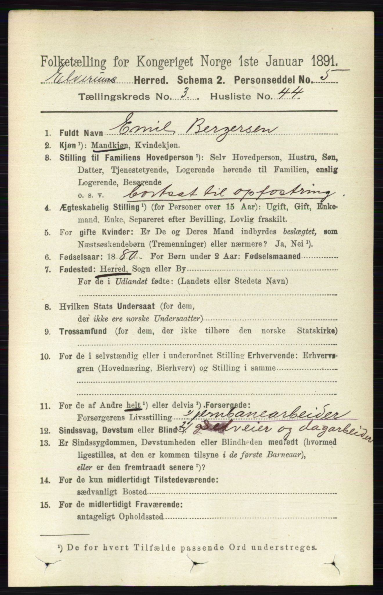 RA, 1891 census for 0427 Elverum, 1891, p. 2124