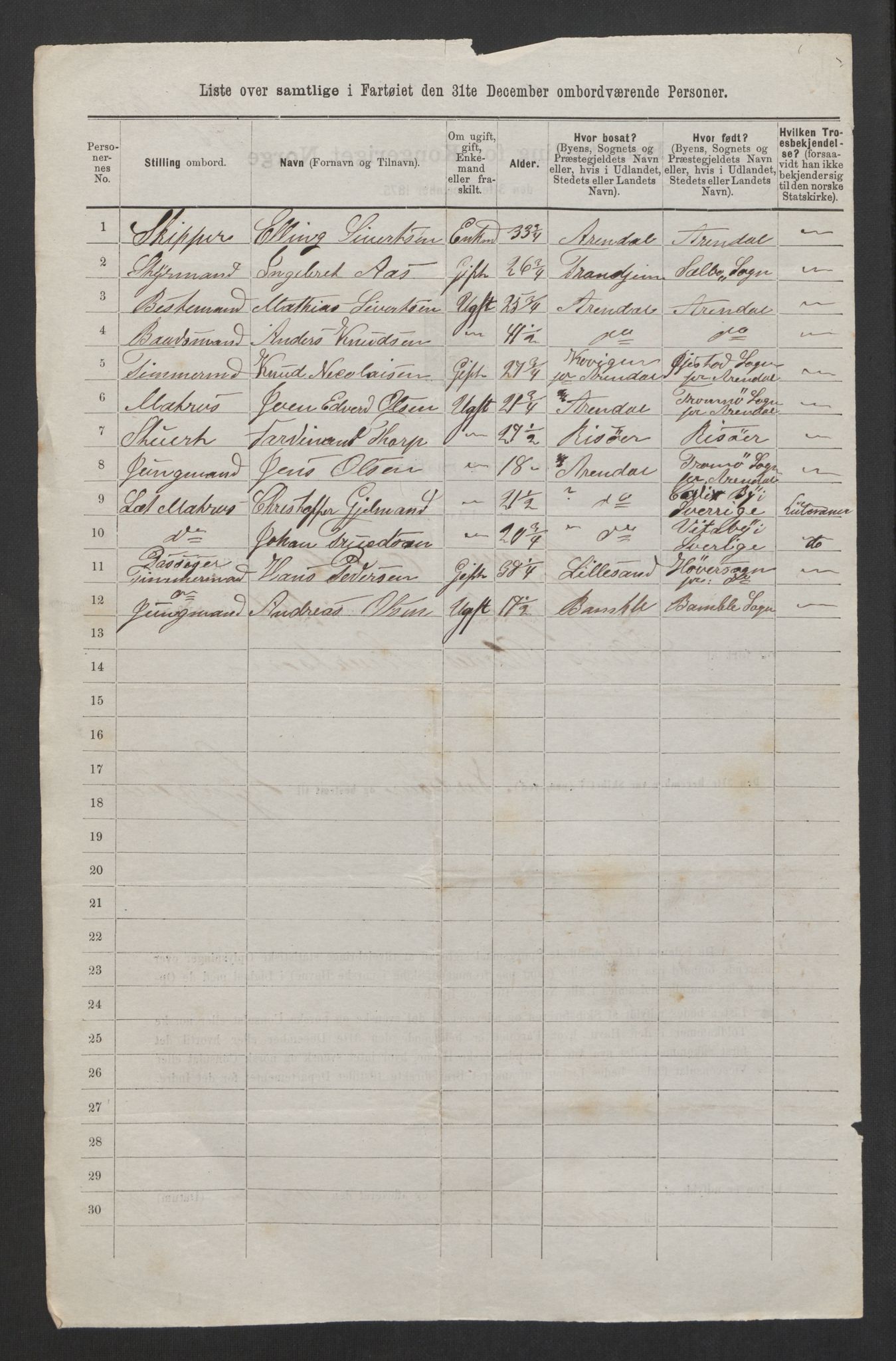 RA, 1875 census, lists of crew on ships: Ships in domestic ports, 1875, p. 31