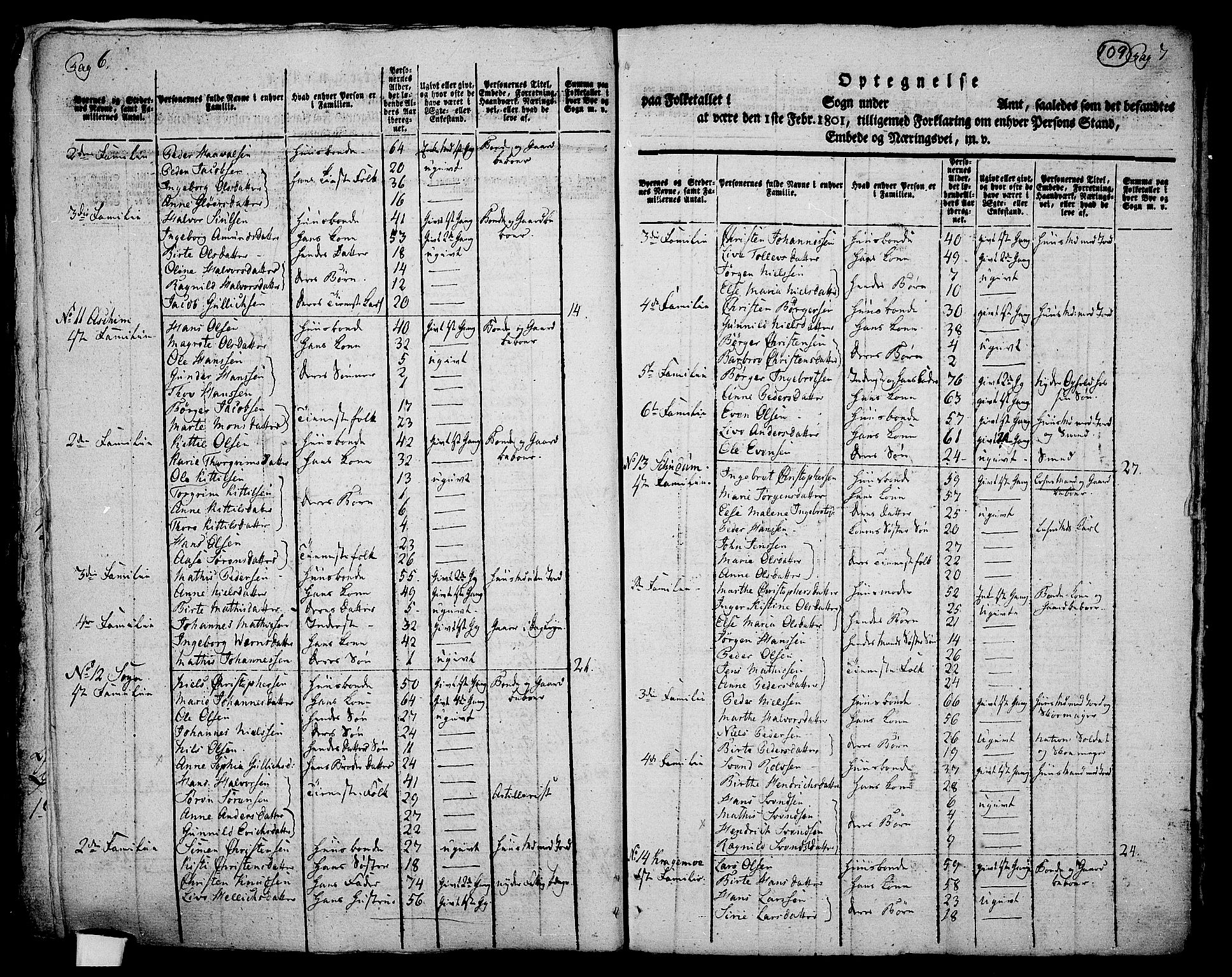 RA, 1801 census for 0728P Lardal, 1801, p. 108b-109a