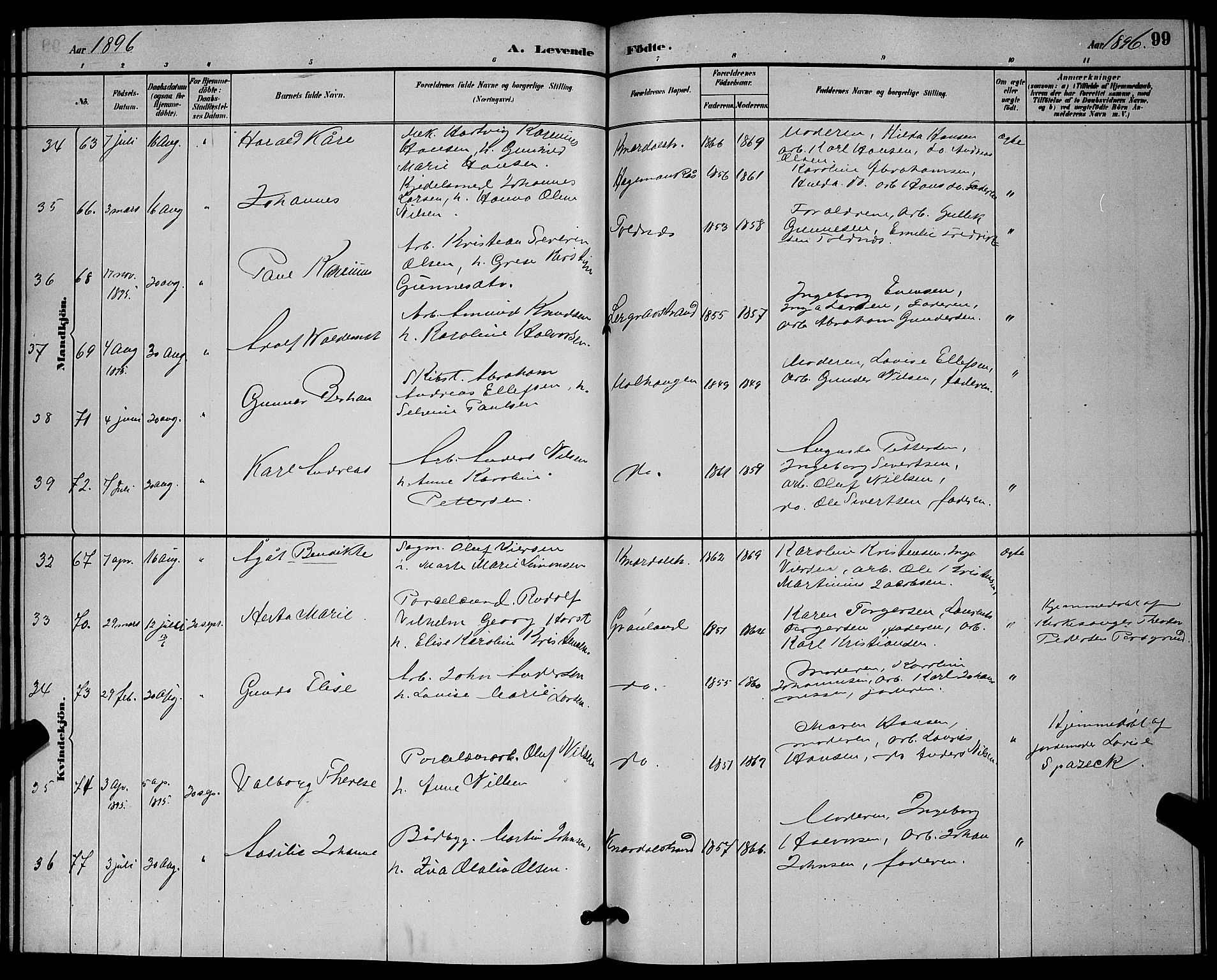 Solum kirkebøker, SAKO/A-306/G/Ga/L0007: Parish register (copy) no. I 7, 1884-1898, p. 99