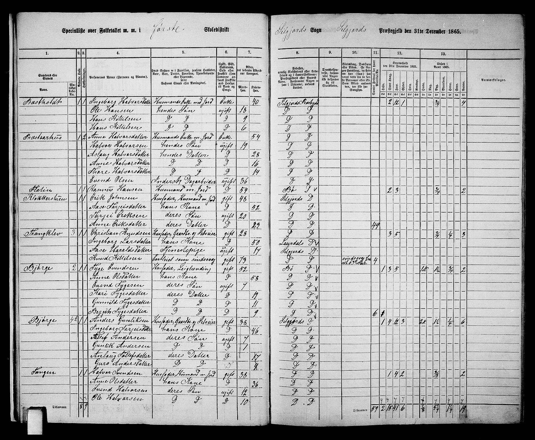 RA, 1865 census for Seljord, 1865, p. 13