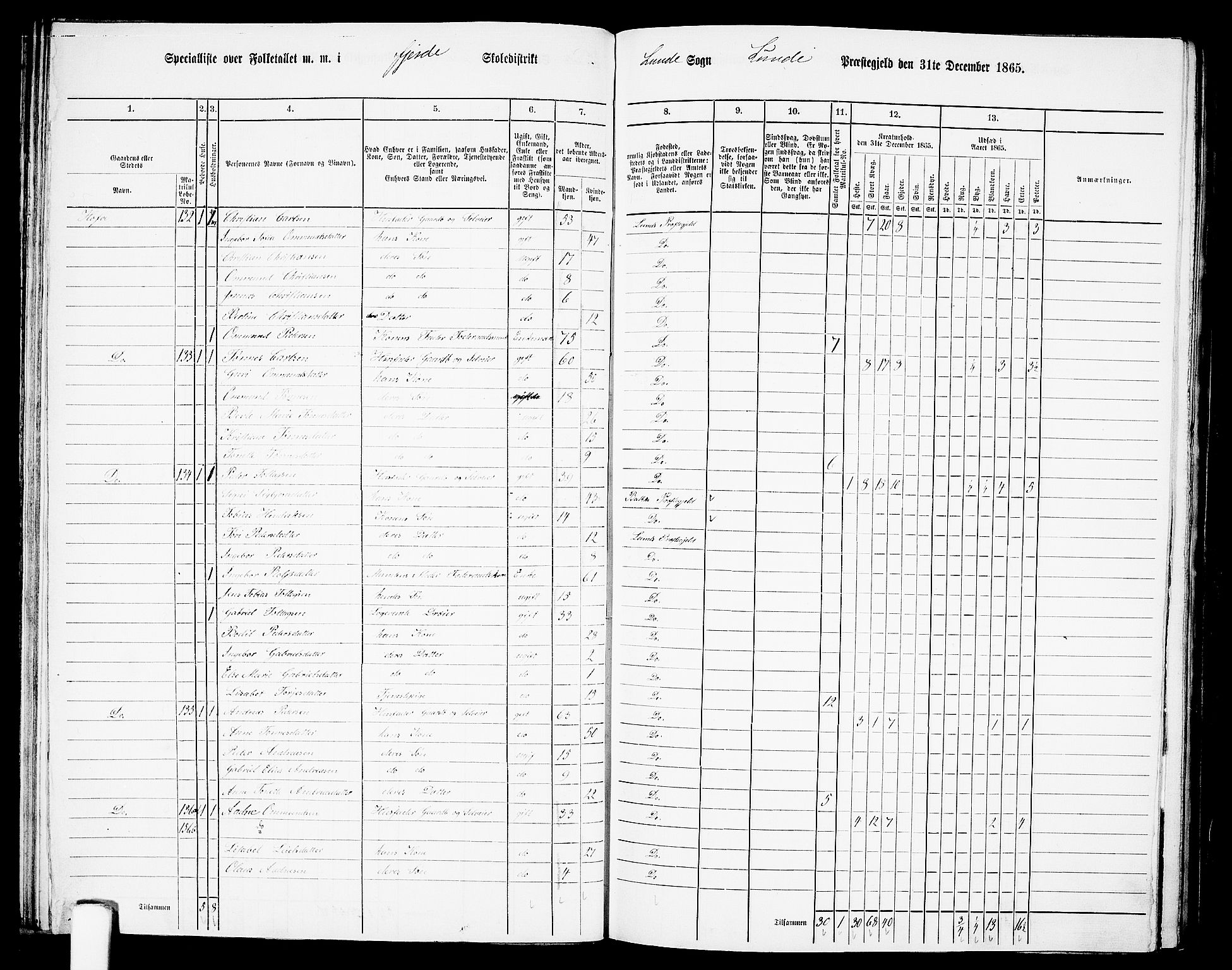 RA, 1865 census for Lund, 1865, p. 51