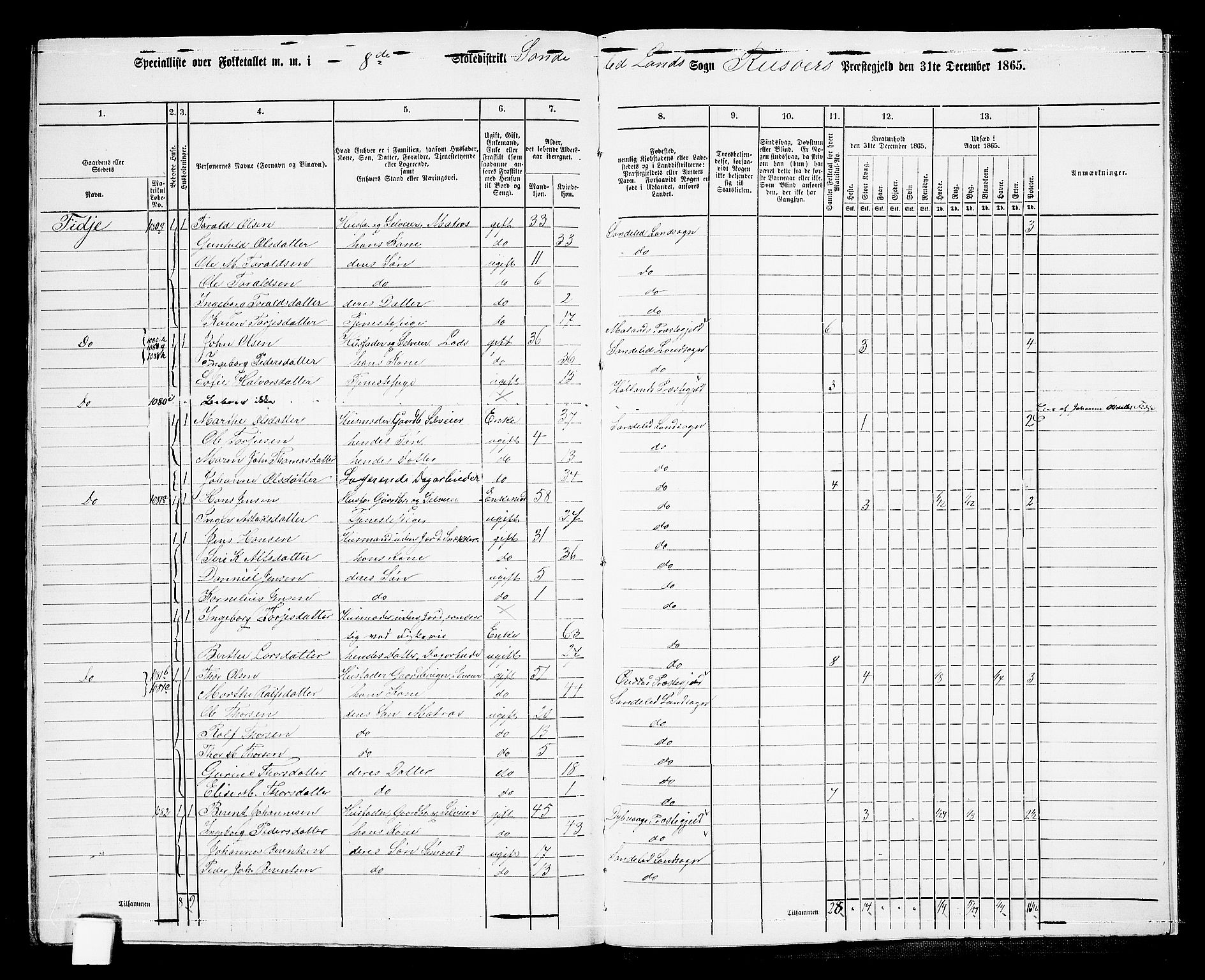 RA, 1865 census for Risør/Søndeled, 1865, p. 149