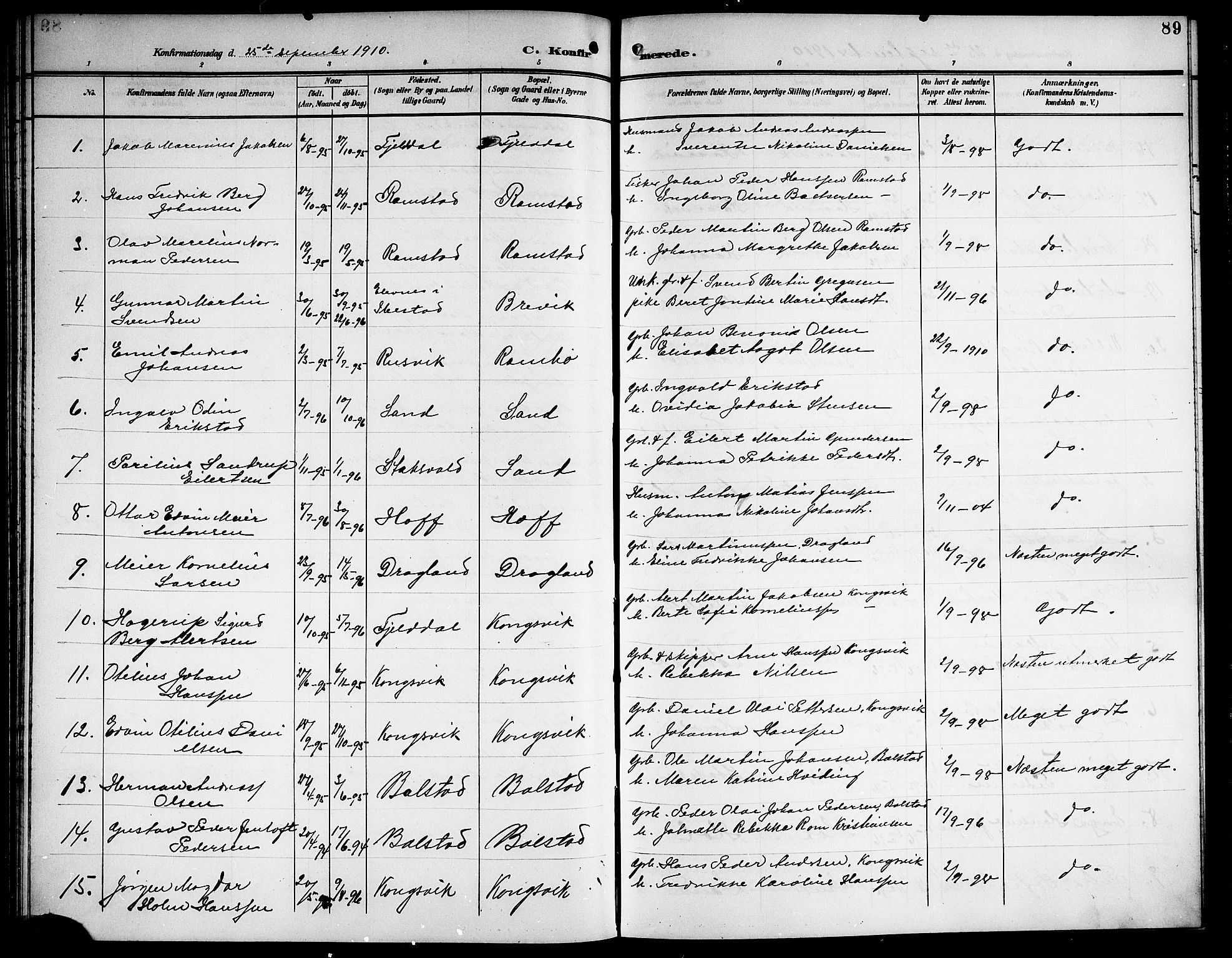 Ministerialprotokoller, klokkerbøker og fødselsregistre - Nordland, AV/SAT-A-1459/865/L0932: Parish register (copy) no. 865C04, 1901-1917, p. 89