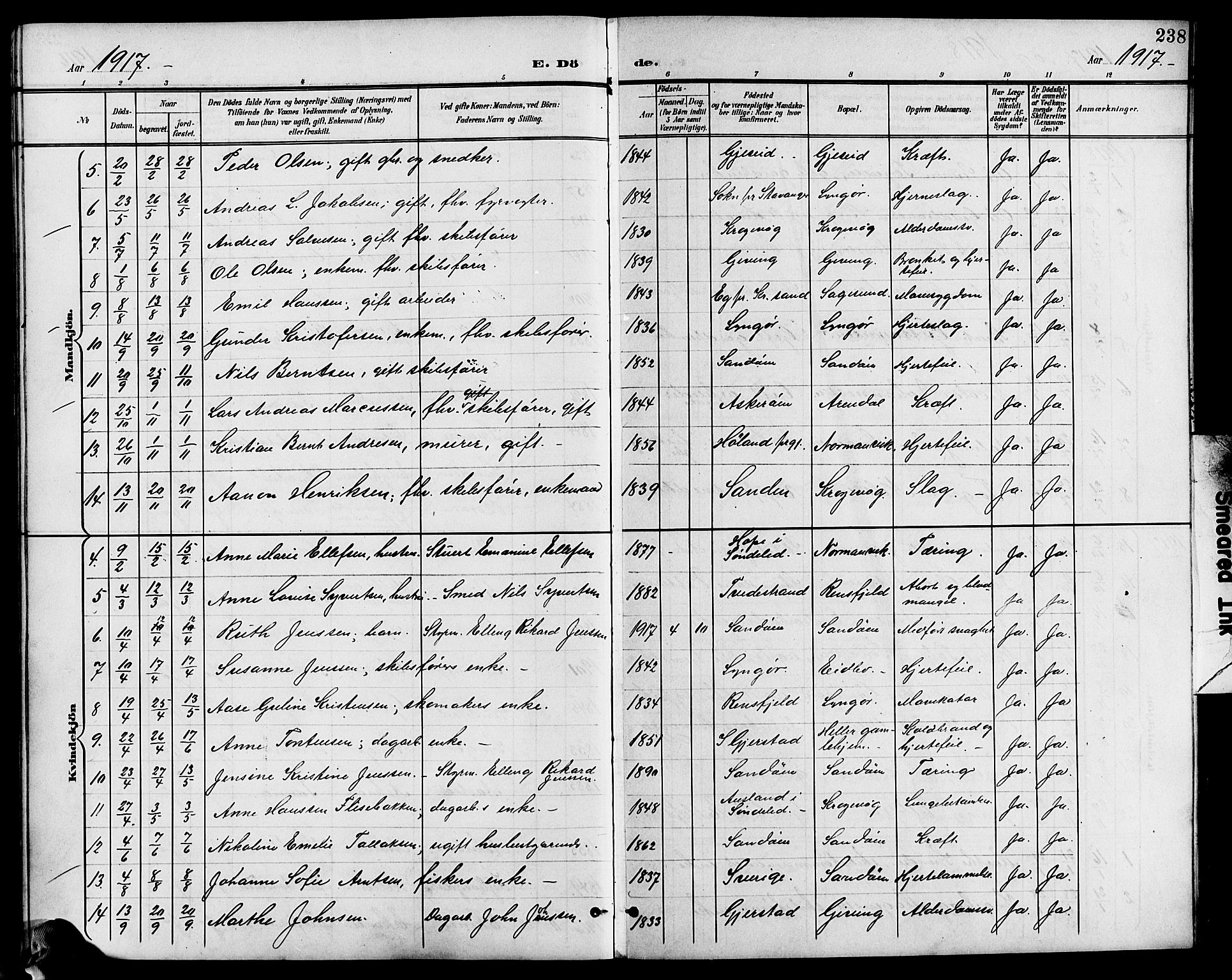 Dypvåg sokneprestkontor, AV/SAK-1111-0007/F/Fb/Fba/L0014: Parish register (copy) no. B 14, 1901-1922, p. 238