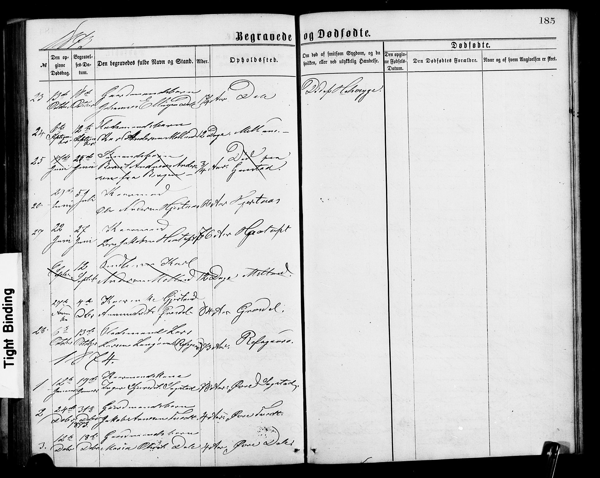 Alversund Sokneprestembete, AV/SAB-A-73901/H/Ha/Hab: Parish register (copy) no. C 2, 1867-1880, p. 185