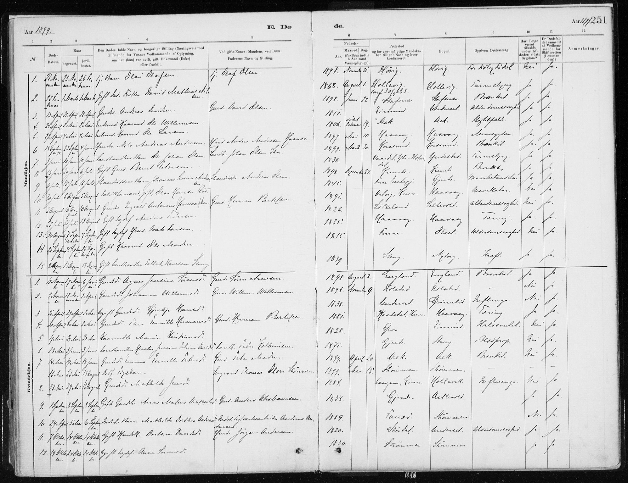 Askvoll sokneprestembete, SAB/A-79501/H/Haa/Haab/L0002: Parish register (official) no. B 2, 1879-1909, p. 251