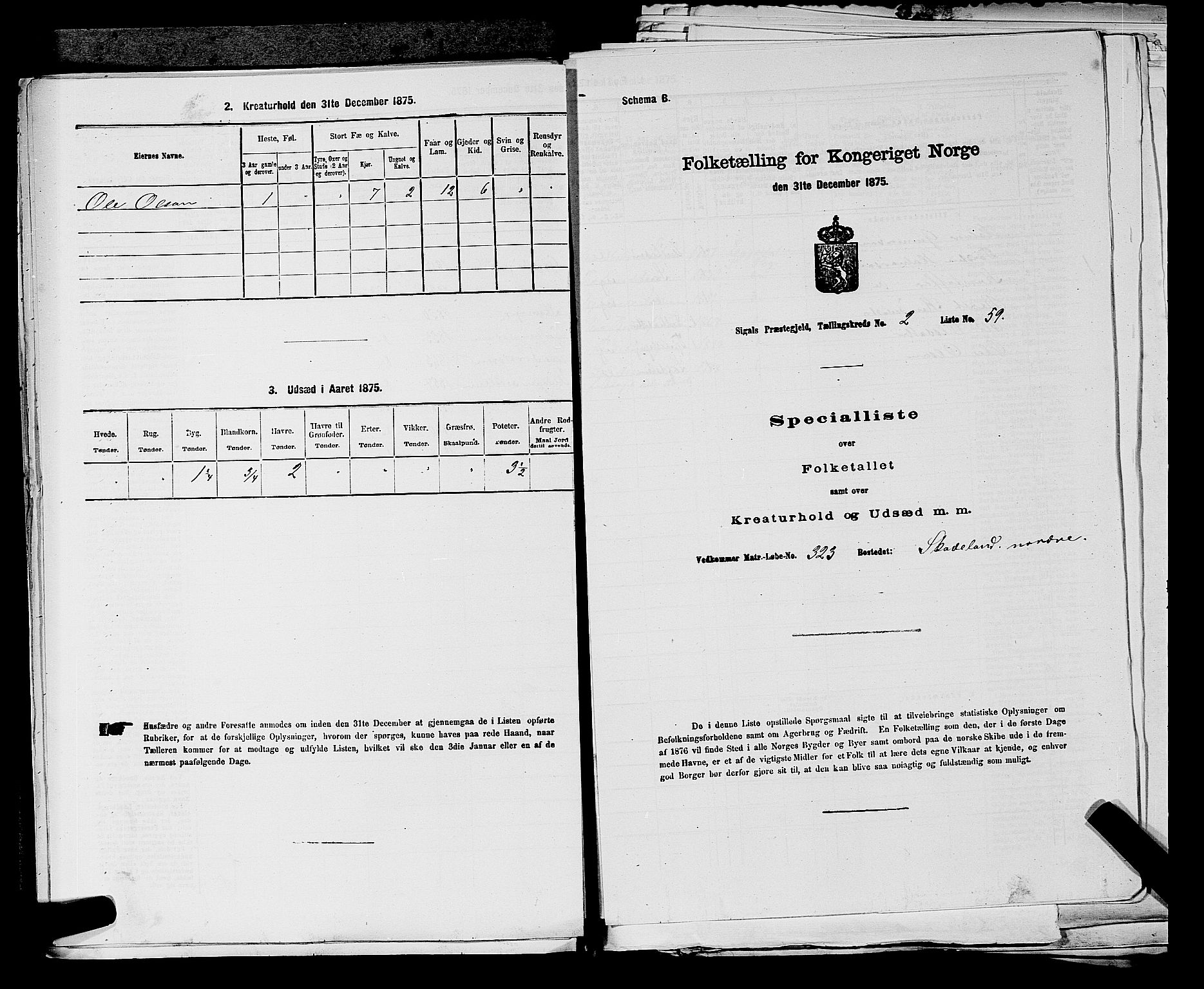 SAKO, 1875 census for 0621P Sigdal, 1875, p. 2125