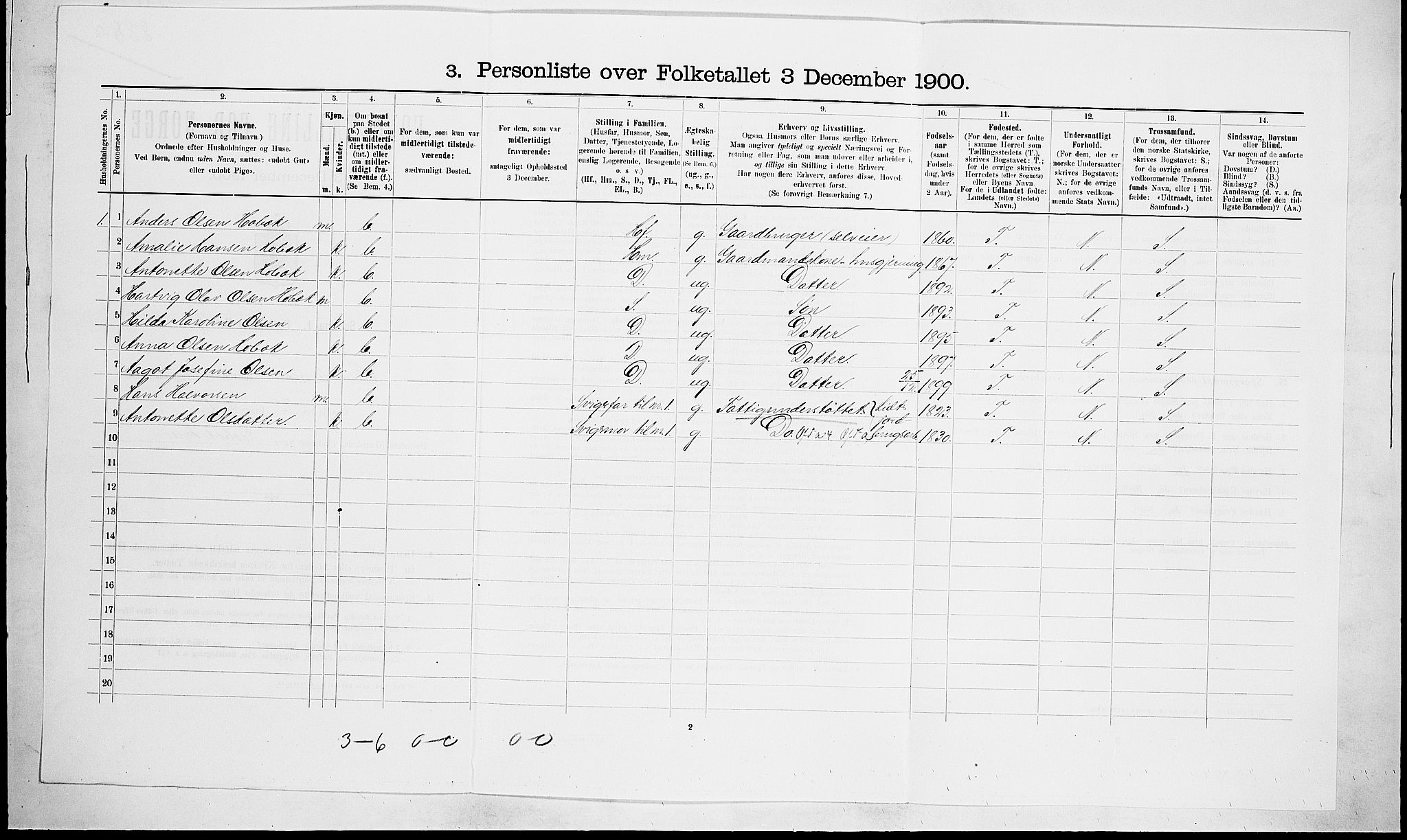 RA, 1900 census for Brunlanes, 1900, p. 761