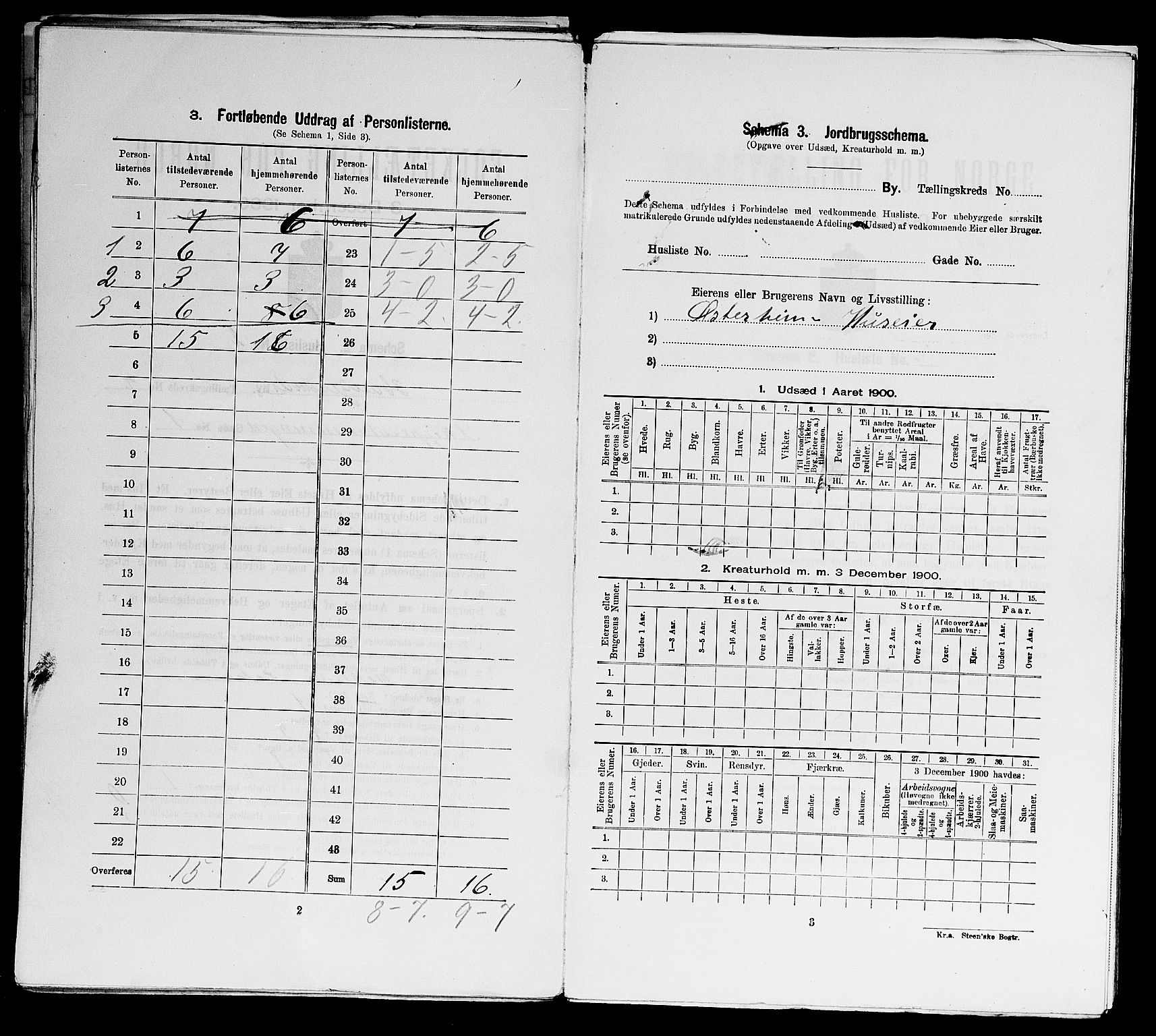 SAST, 1900 census for Haugesund, 1900, p. 811