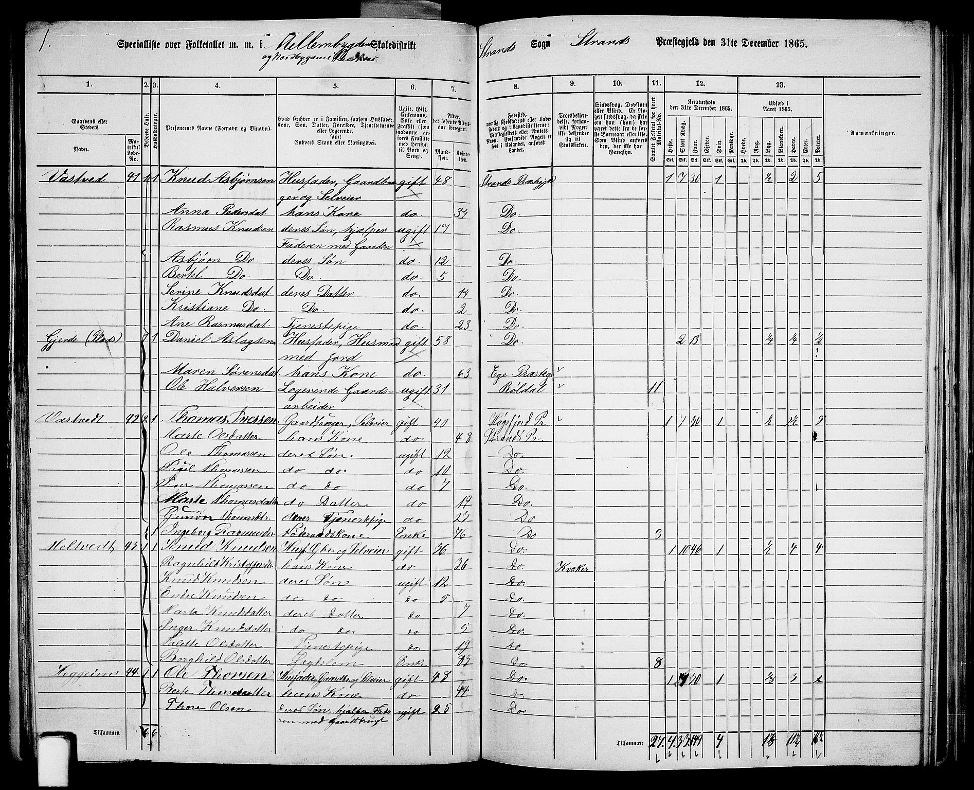 RA, 1865 census for Strand, 1865, p. 23