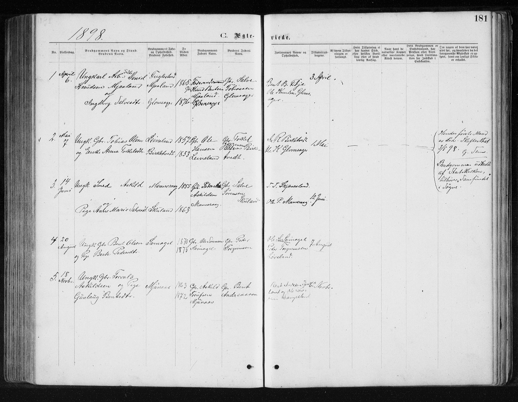 Holum sokneprestkontor, SAK/1111-0022/F/Fb/Fbb/L0003: Parish register (copy) no. B 3, 1875-1898, p. 181