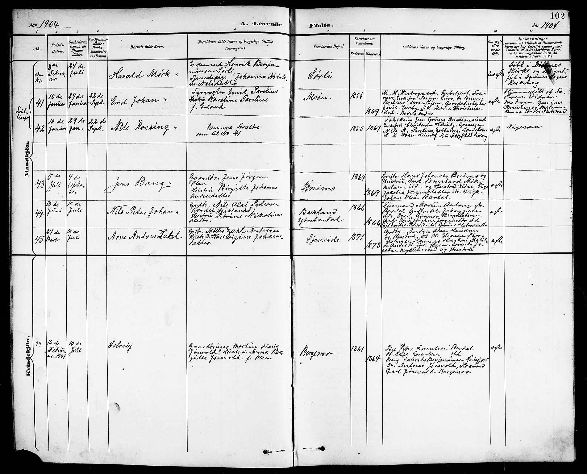 Ministerialprotokoller, klokkerbøker og fødselsregistre - Nordland, SAT/A-1459/838/L0559: Parish register (copy) no. 838C06, 1893-1910, p. 102