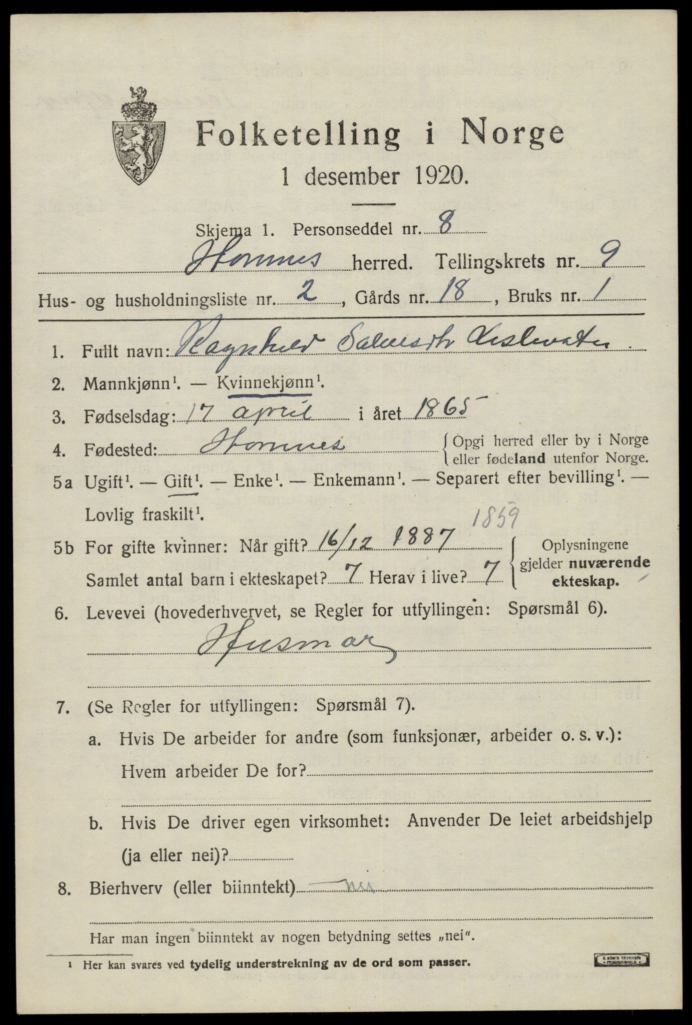 SAK, 1920 census for Hornnes, 1920, p. 2215