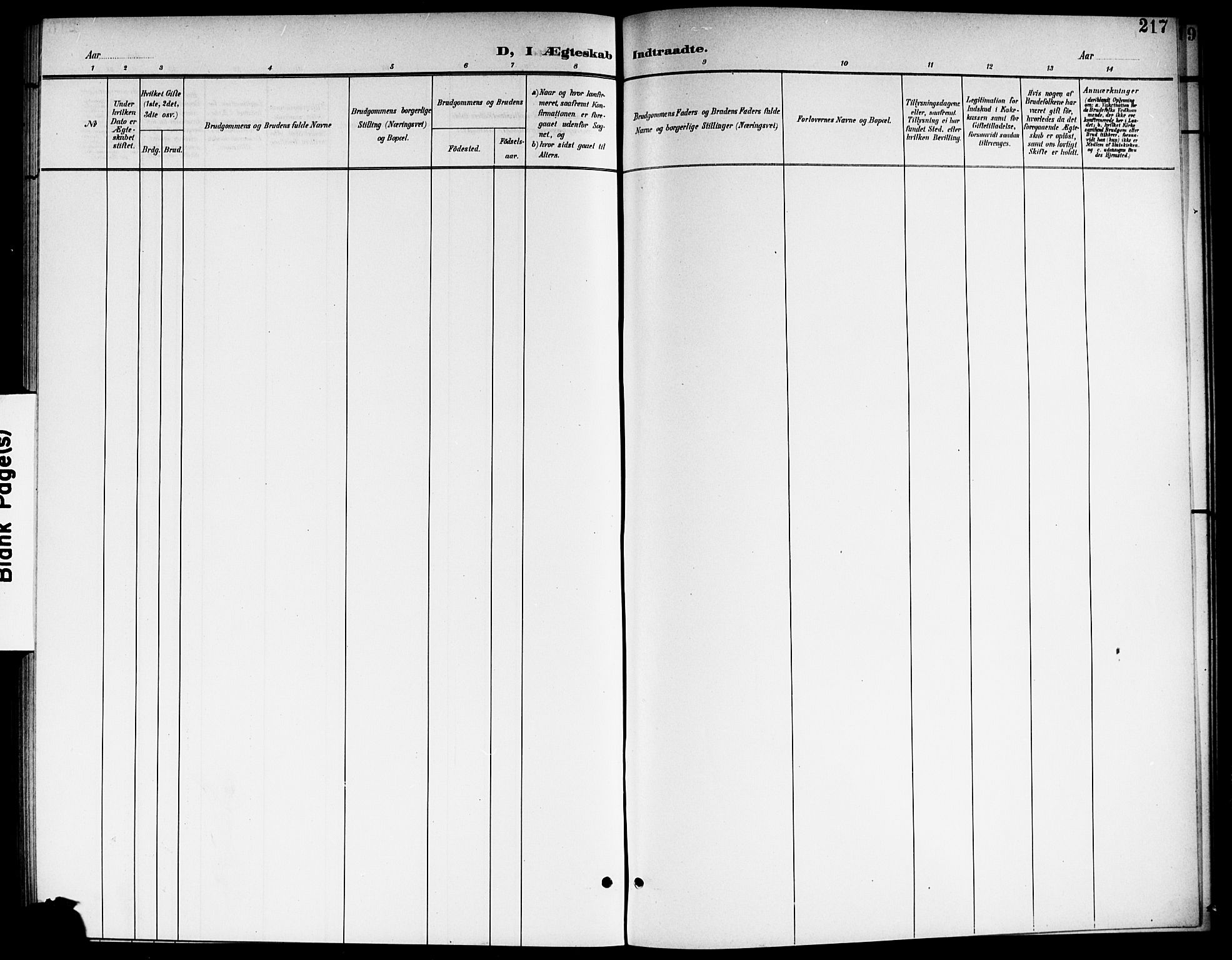 Aurskog prestekontor Kirkebøker, AV/SAO-A-10304a/G/Ga/L0004: Parish register (copy) no. I 4, 1901-1921, p. 217