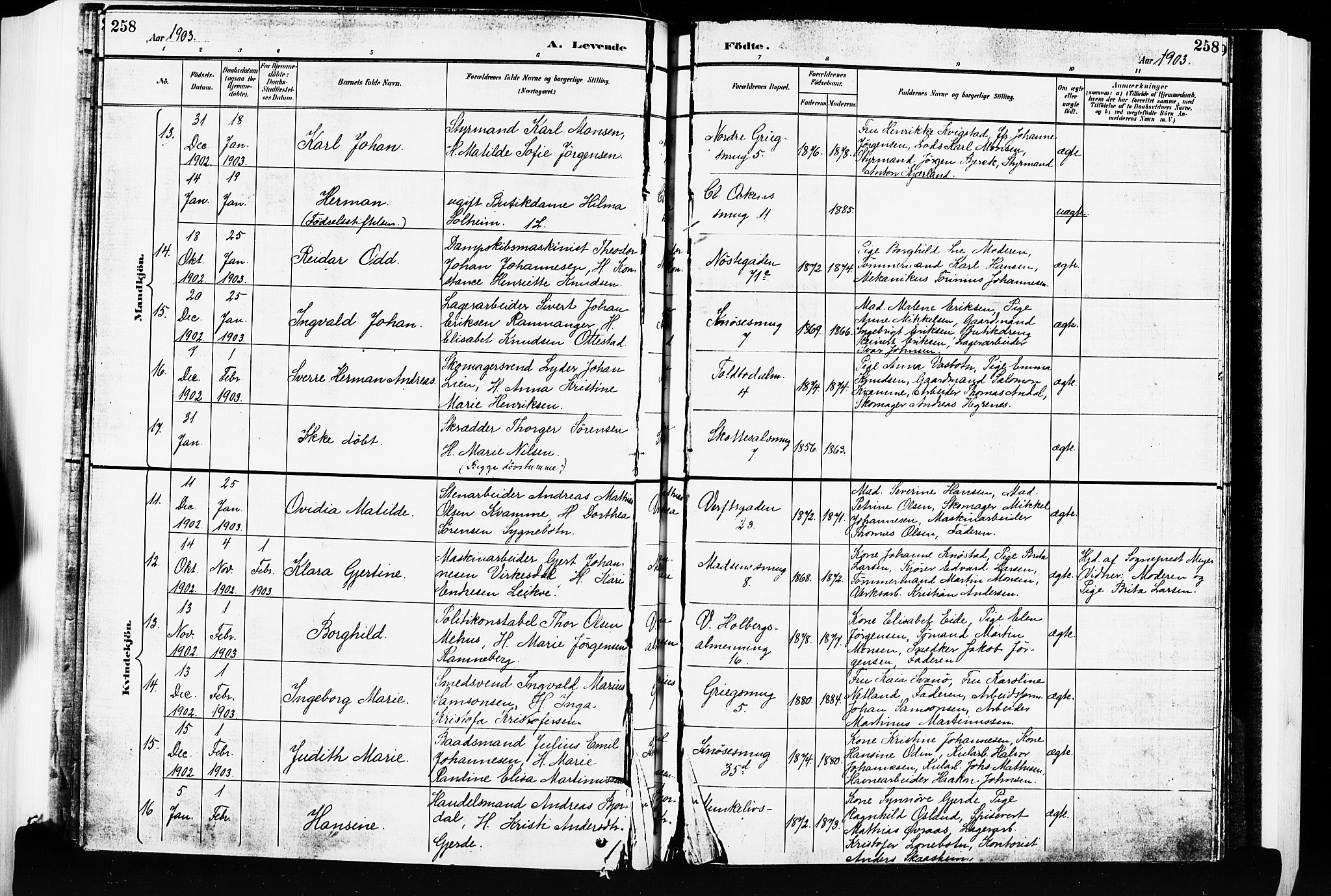 Nykirken Sokneprestembete, SAB/A-77101/H/Hab: Parish register (copy) no. B 4, 1900-1903, p. 258