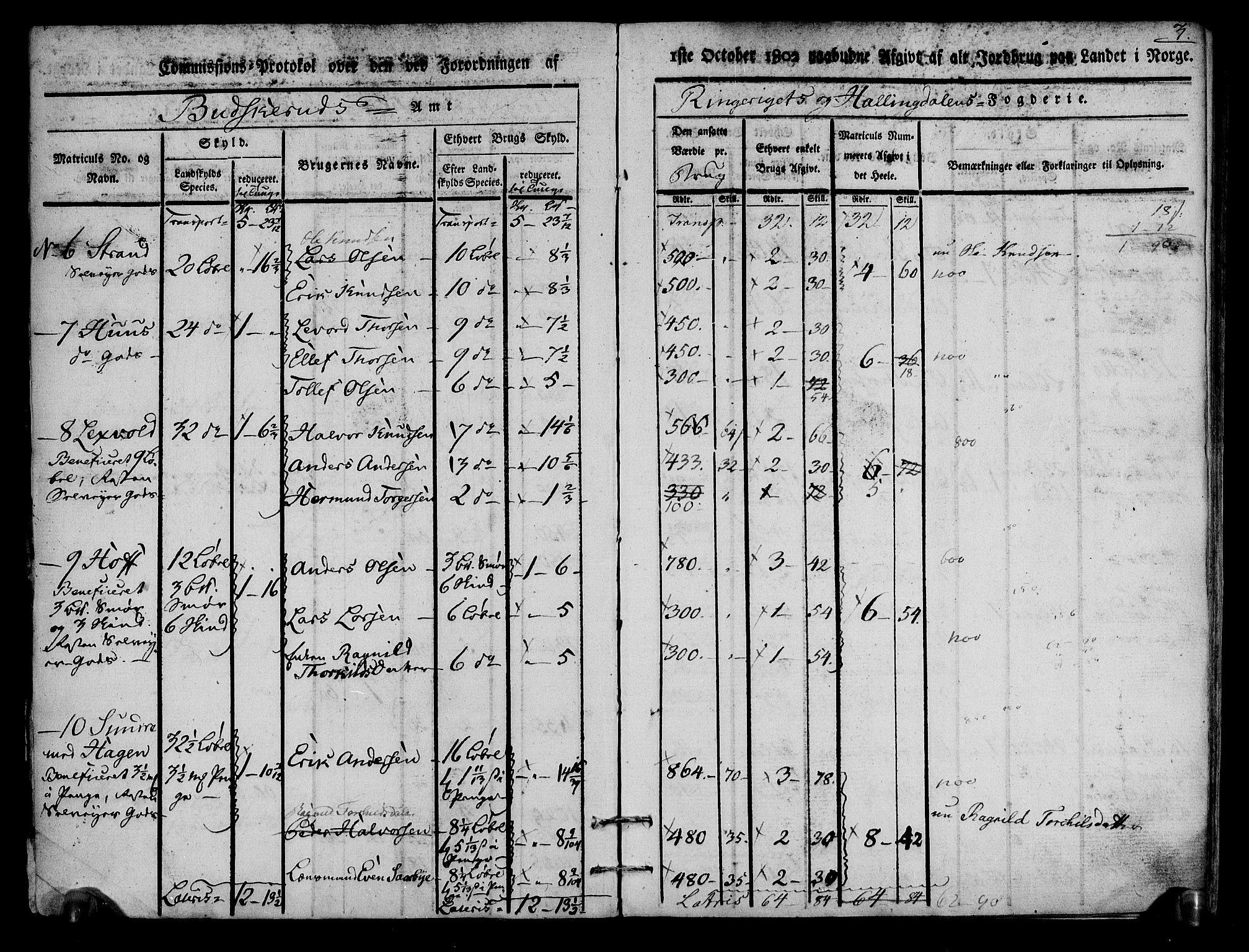 Rentekammeret inntil 1814, Realistisk ordnet avdeling, AV/RA-EA-4070/N/Ne/Nea/L0048: Ringerike og Hallingdal fogderi. Kommisjonsprotokoll for Ål prestegjeld, 1803, p. 4