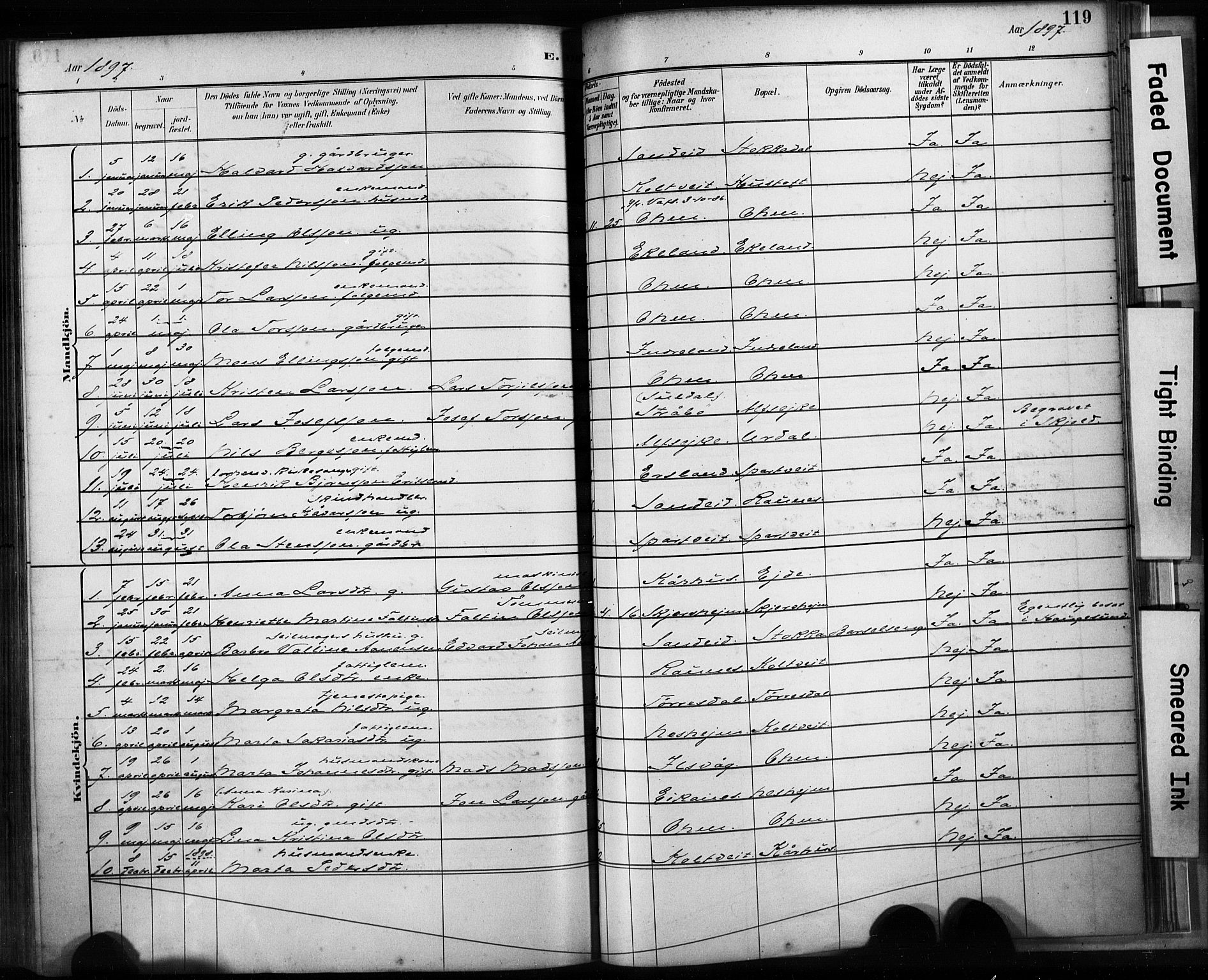 Skjold sokneprestkontor, AV/SAST-A-101847/H/Ha/Haa/L0009: Parish register (official) no. A 9, 1882-1898, p. 119