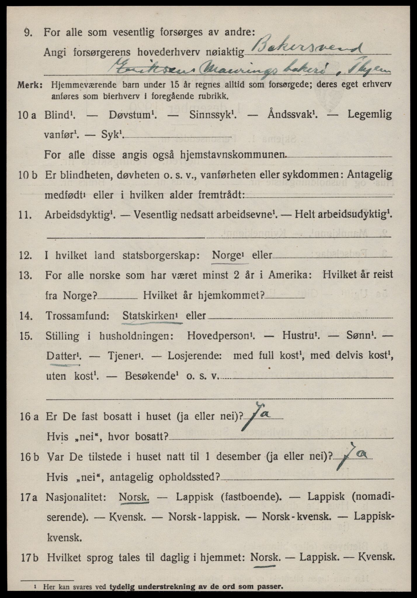 SAT, 1920 census for Strinda, 1920, p. 17581