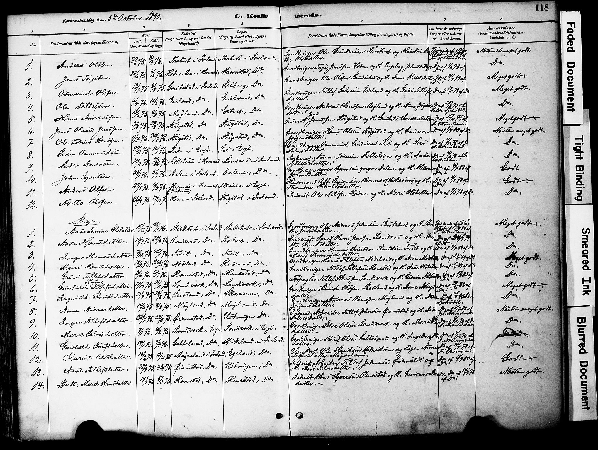 Evje sokneprestkontor, AV/SAK-1111-0008/F/Fa/Fac/L0003: Parish register (official) no. A 3, 1884-1909, p. 118