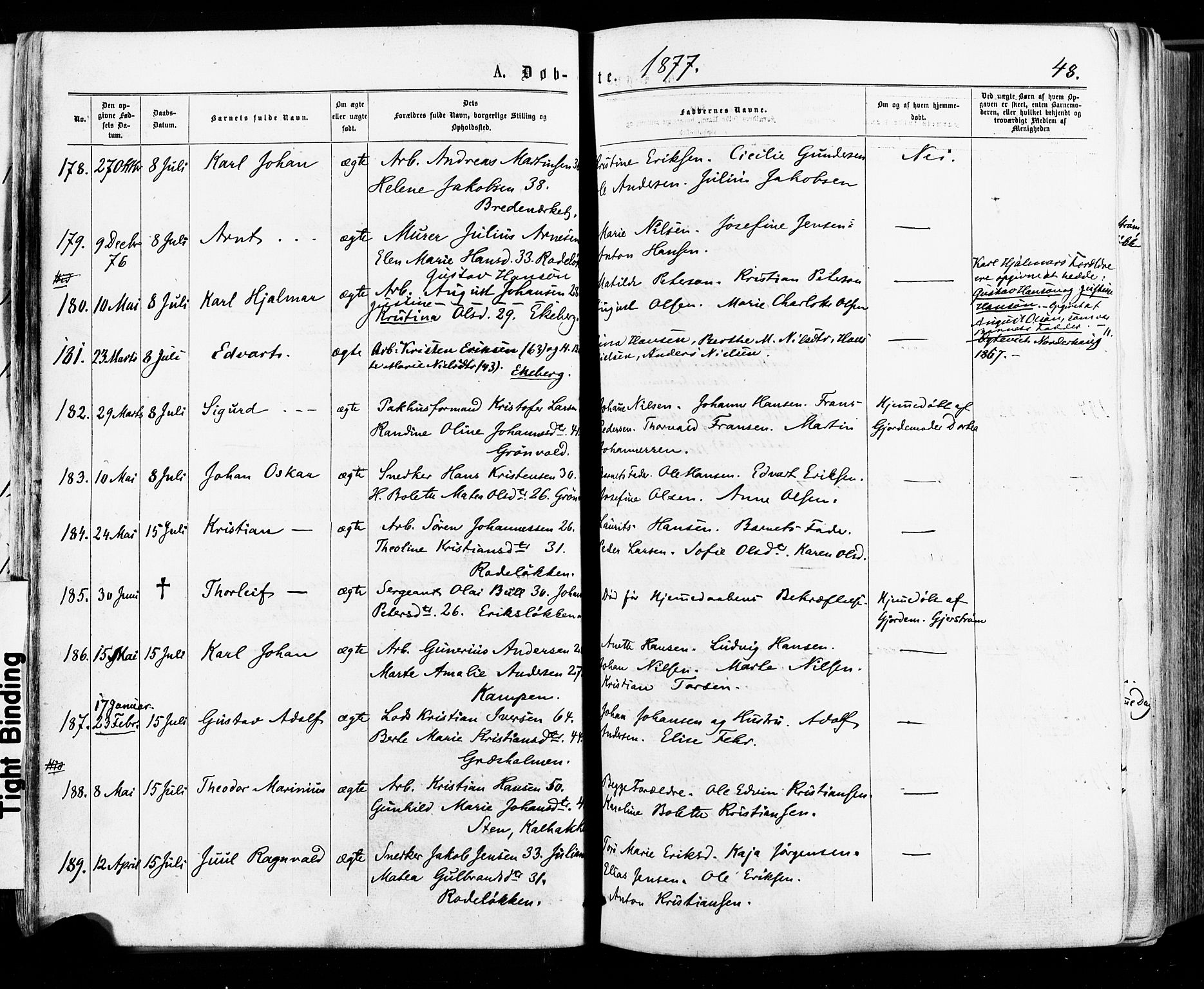 Østre Aker prestekontor Kirkebøker, SAO/A-10840/F/Fa/L0004: Parish register (official) no. I 4, 1876-1889, p. 48