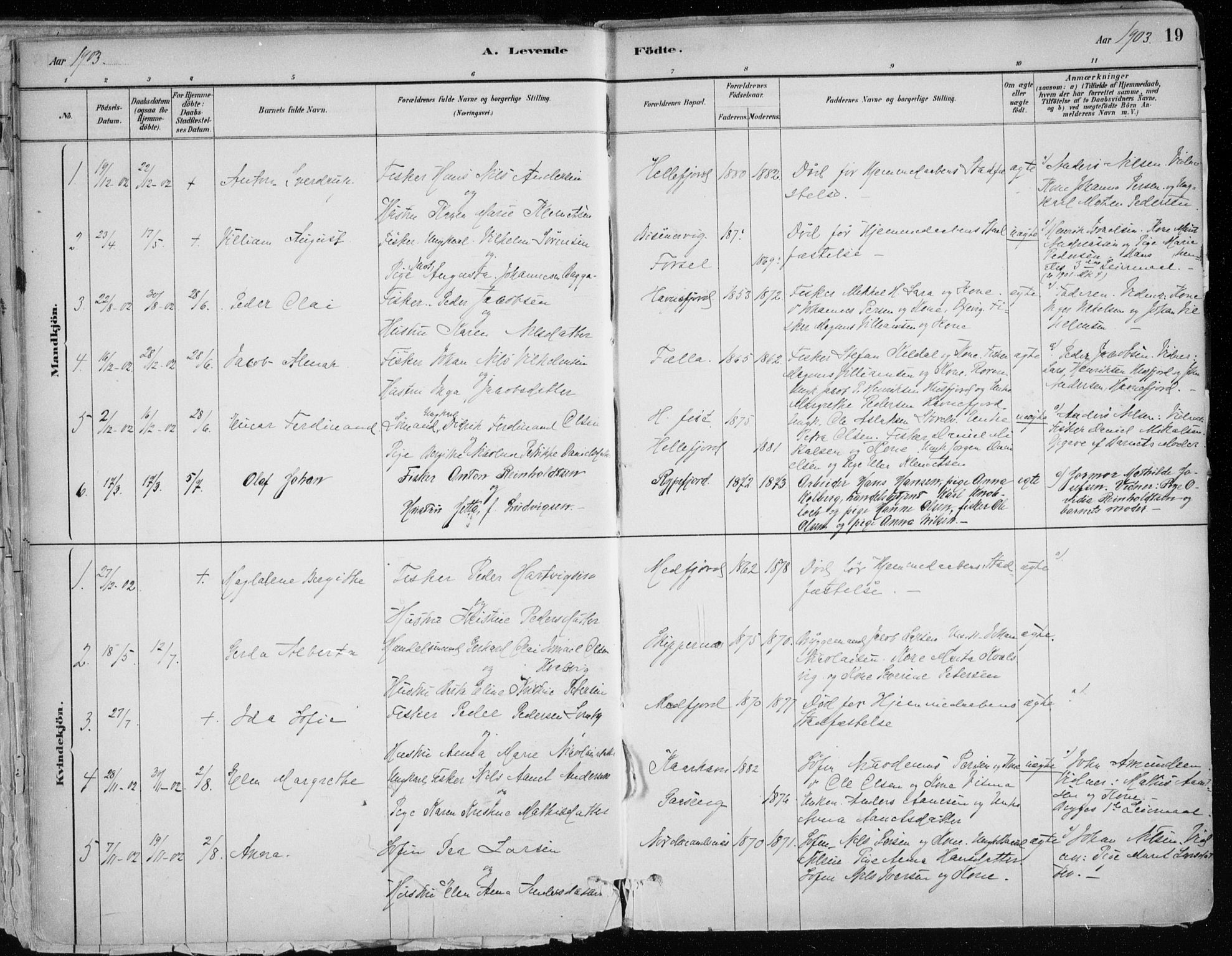 Hammerfest sokneprestkontor, SATØ/S-1347/H/Ha/L0013.kirke: Parish register (official) no. 13, 1898-1917, p. 19