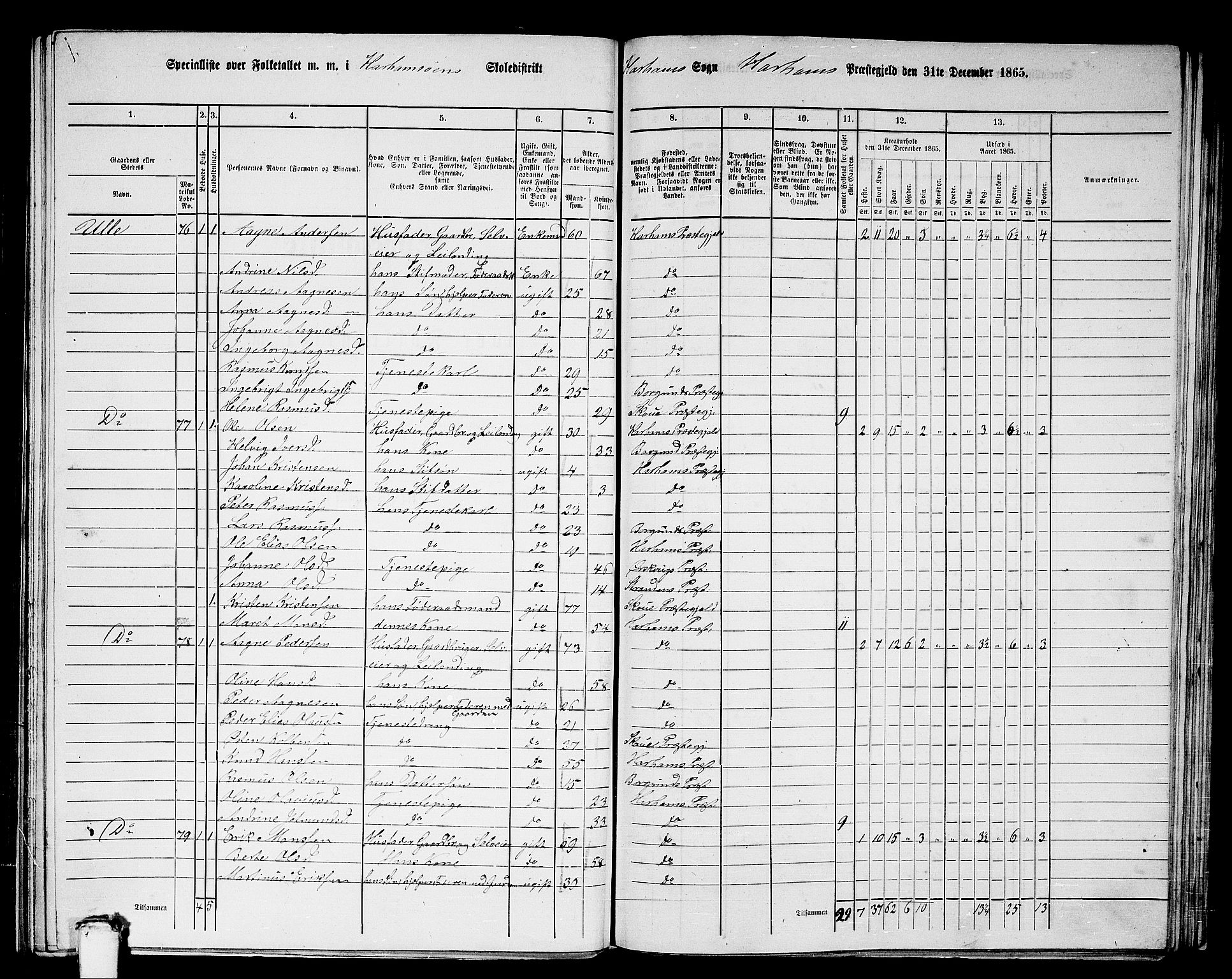 RA, 1865 census for Haram, 1865, p. 40