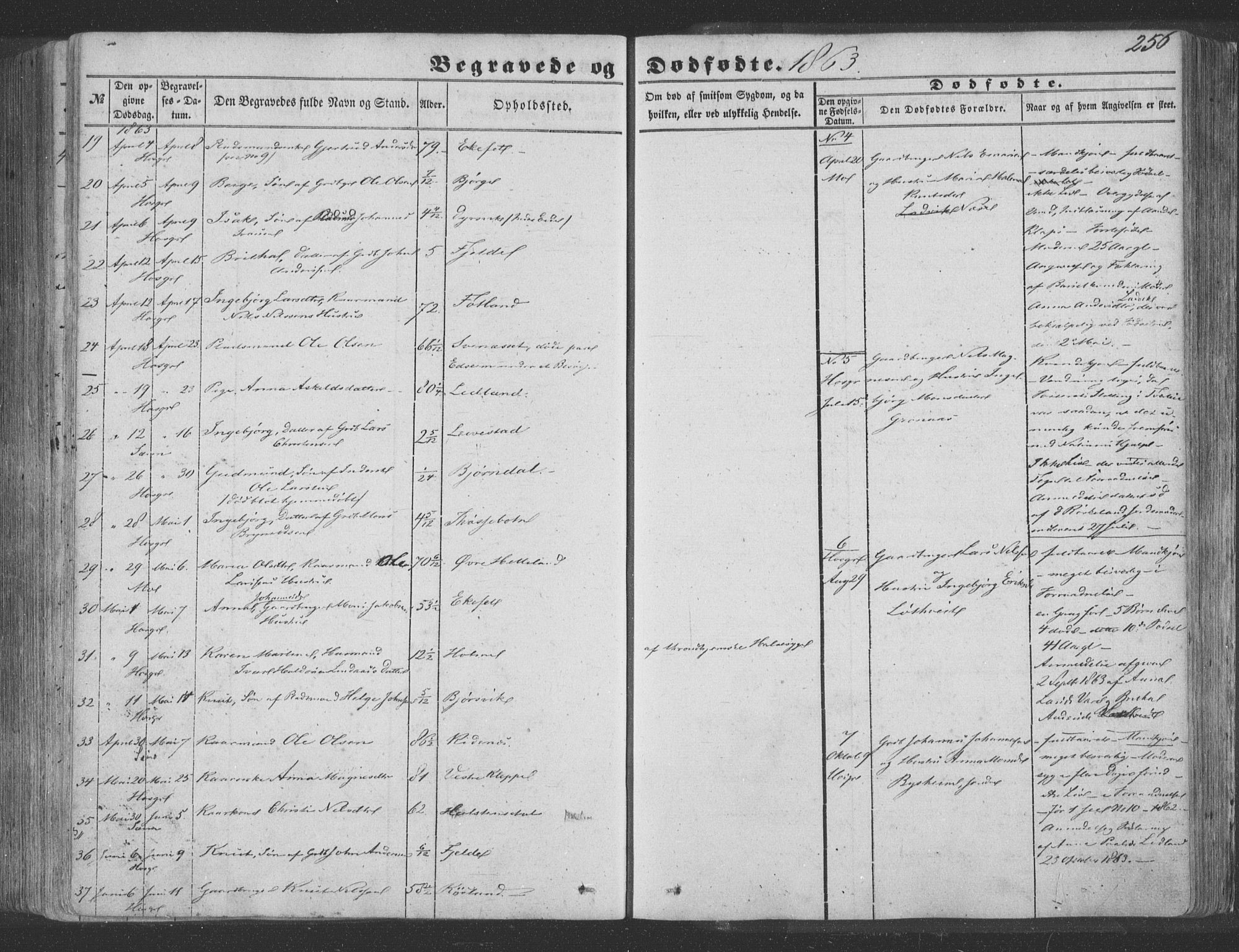 Hosanger sokneprestembete, AV/SAB-A-75801/H/Haa: Parish register (official) no. A 8, 1849-1863, p. 256