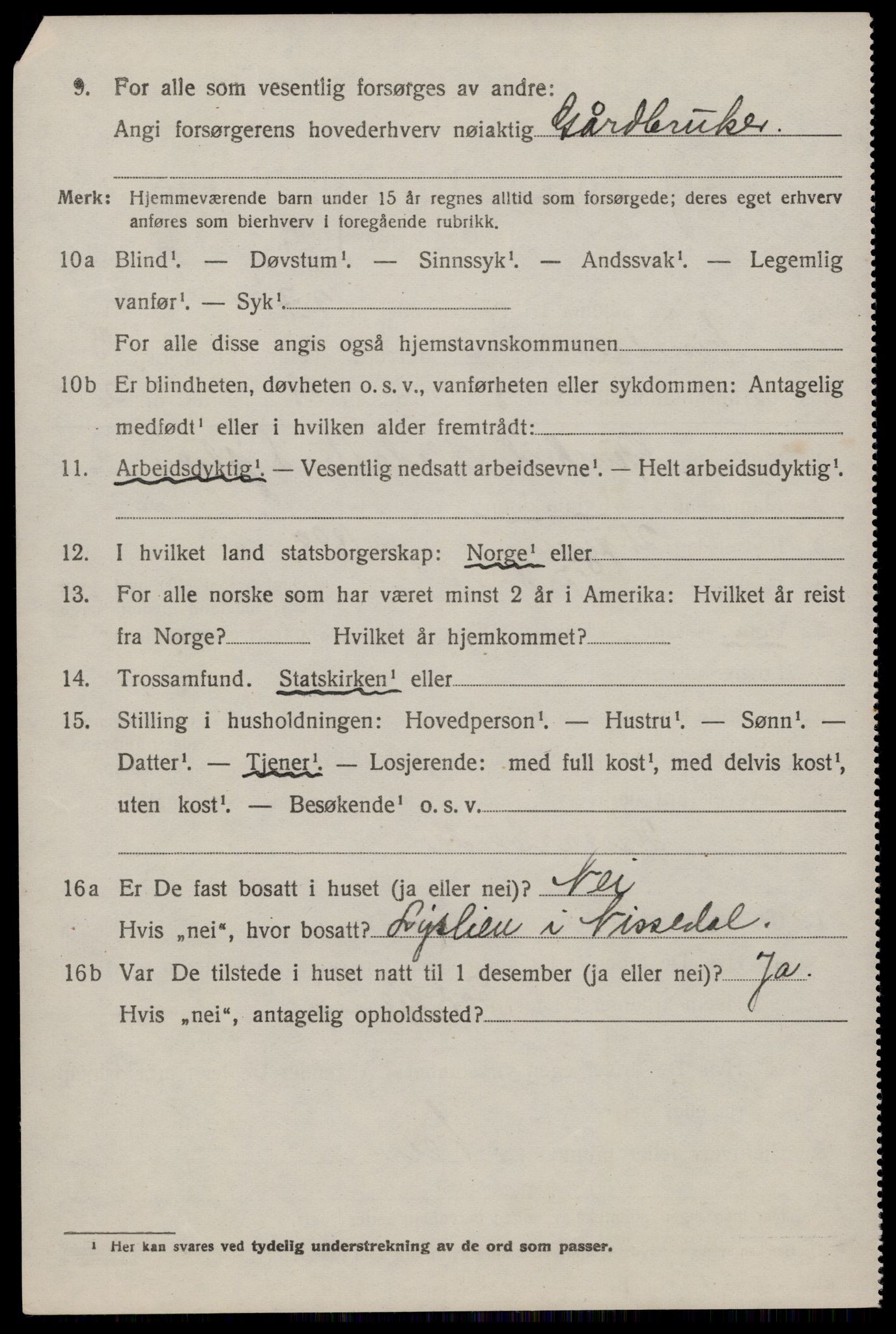 SAKO, 1920 census for Nissedal, 1920, p. 1550