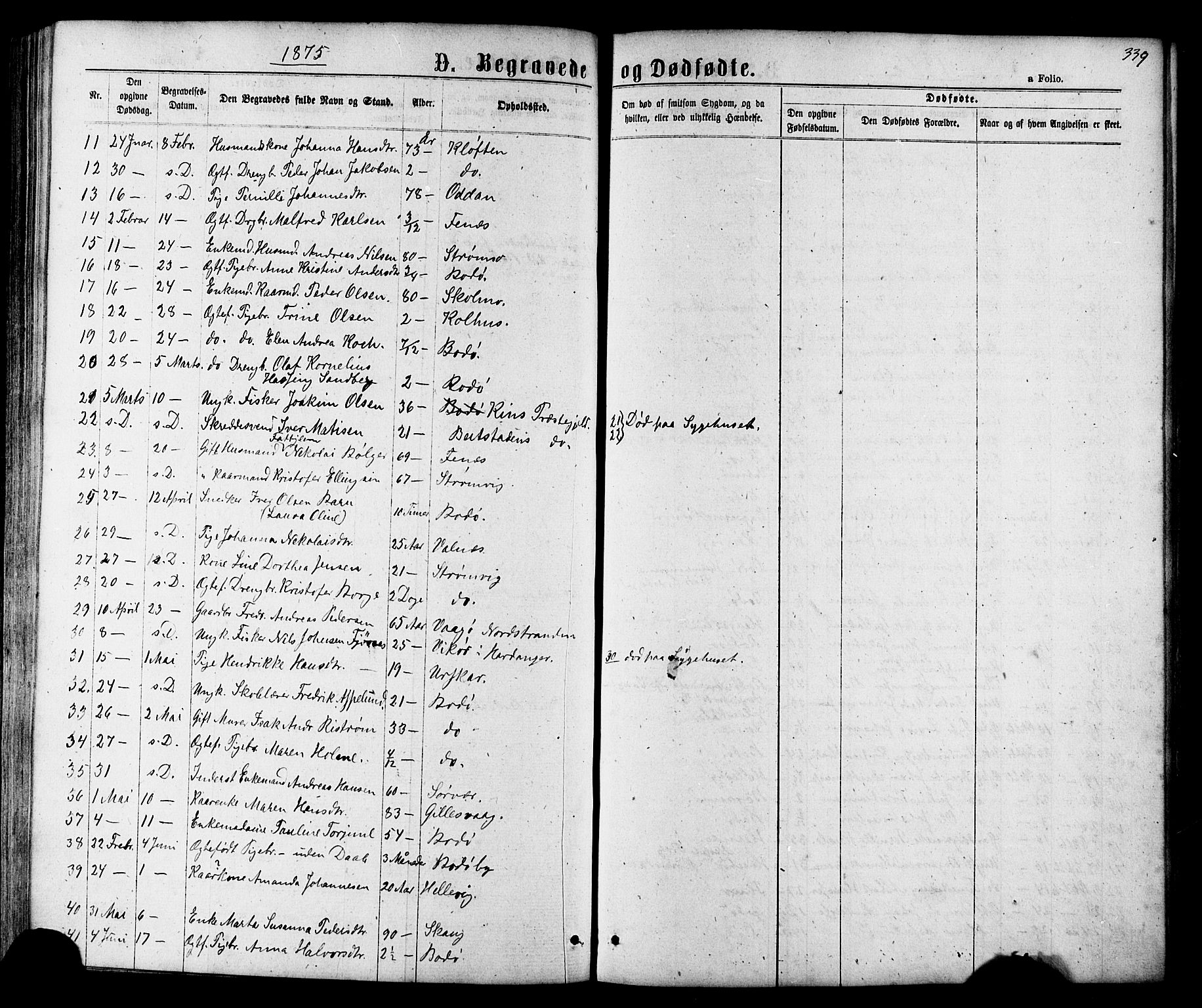 Ministerialprotokoller, klokkerbøker og fødselsregistre - Nordland, AV/SAT-A-1459/801/L0029: Parish register (copy) no. 801C04, 1868-1878, p. 339