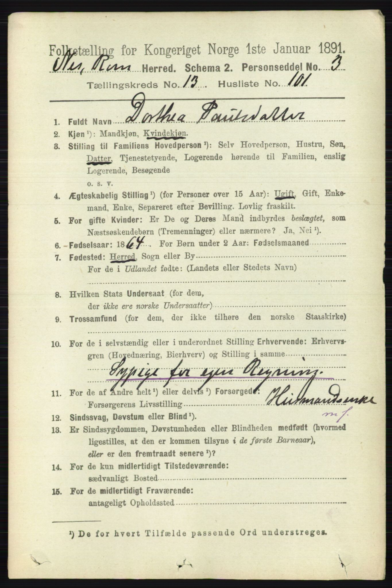 RA, 1891 census for 0236 Nes, 1891, p. 8416