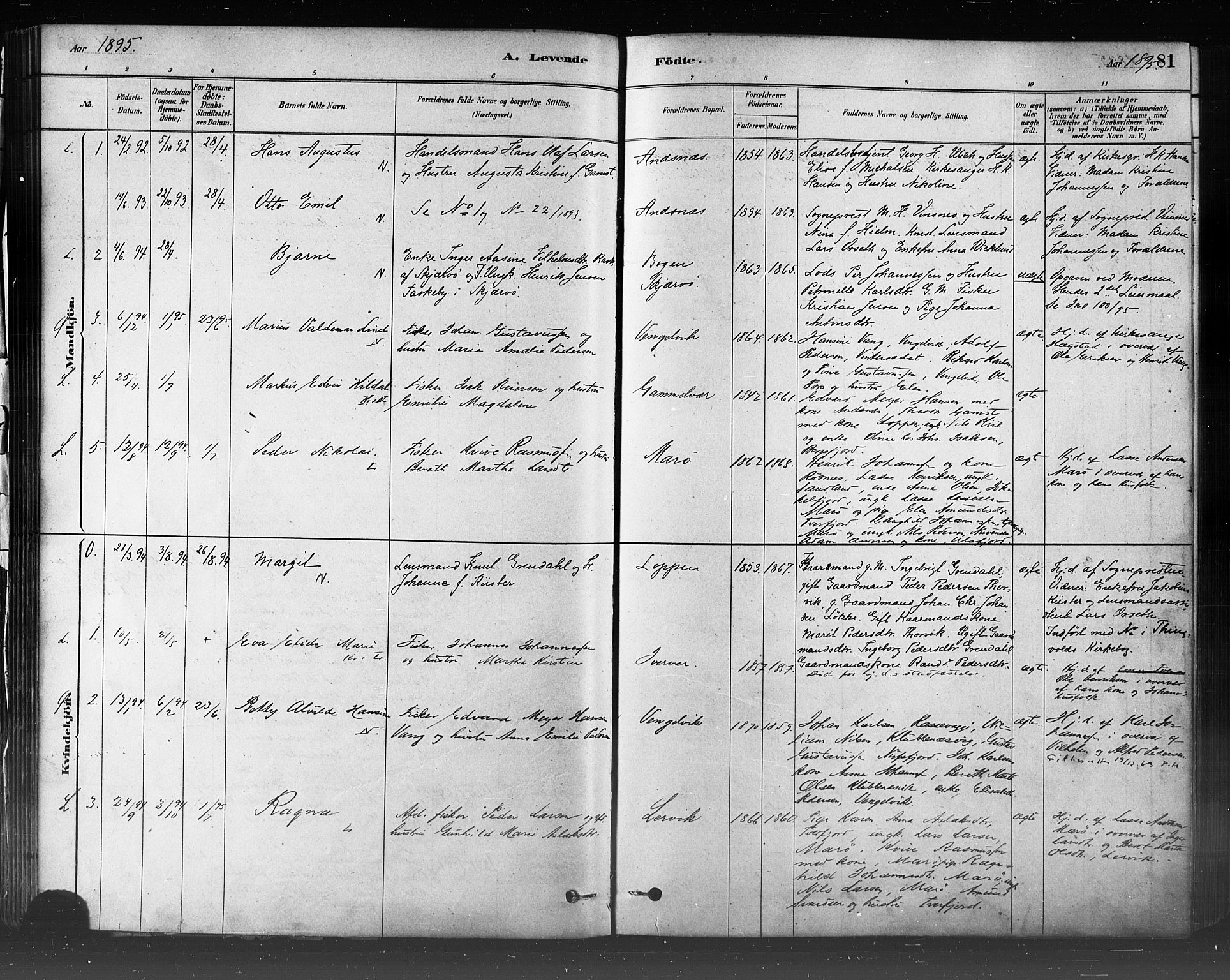 Loppa sokneprestkontor, SATØ/S-1339/H/Ha/L0006kirke: Parish register (official) no. 6, 1879-1895, p. 81