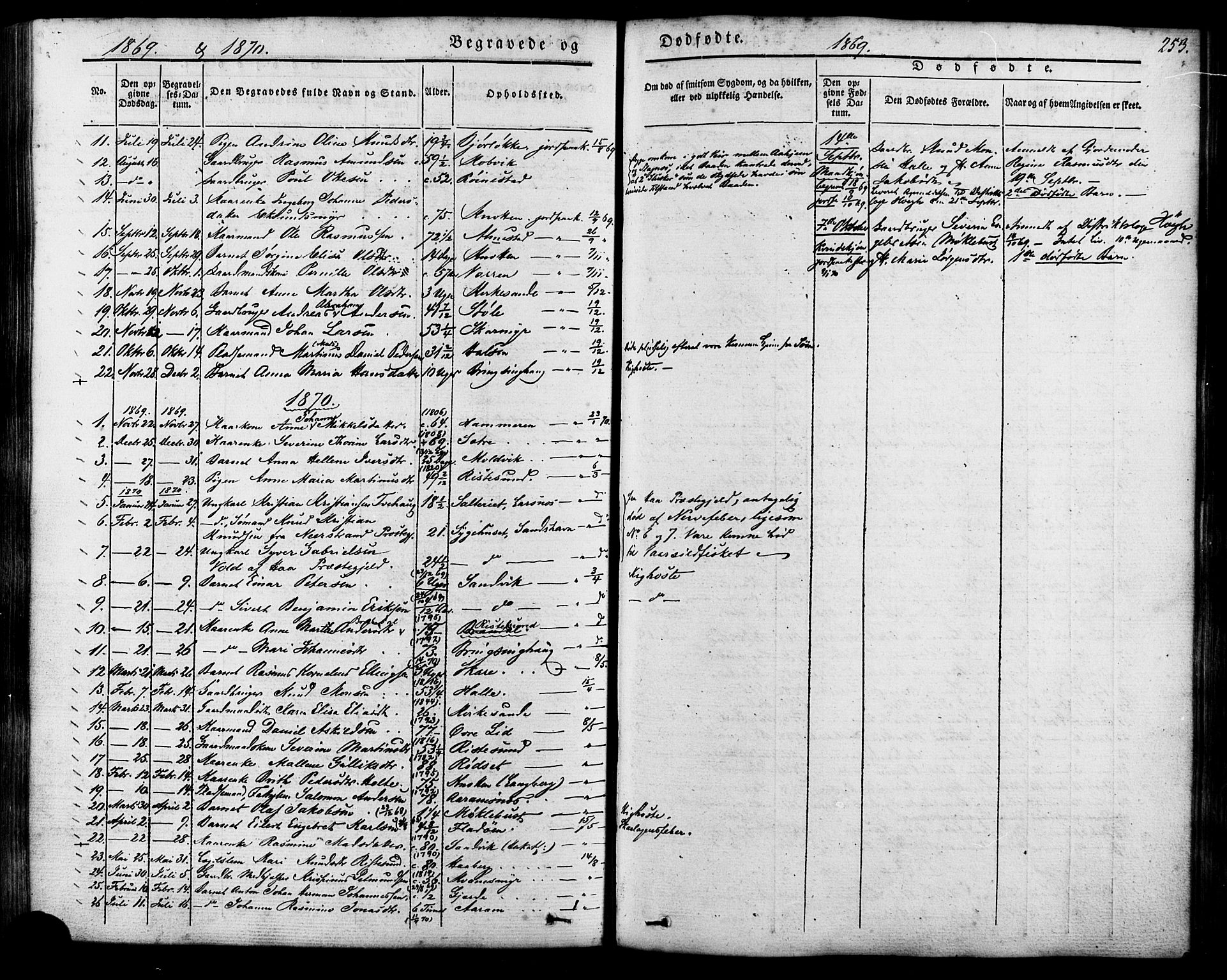 Ministerialprotokoller, klokkerbøker og fødselsregistre - Møre og Romsdal, AV/SAT-A-1454/503/L0034: Parish register (official) no. 503A02, 1841-1884, p. 253