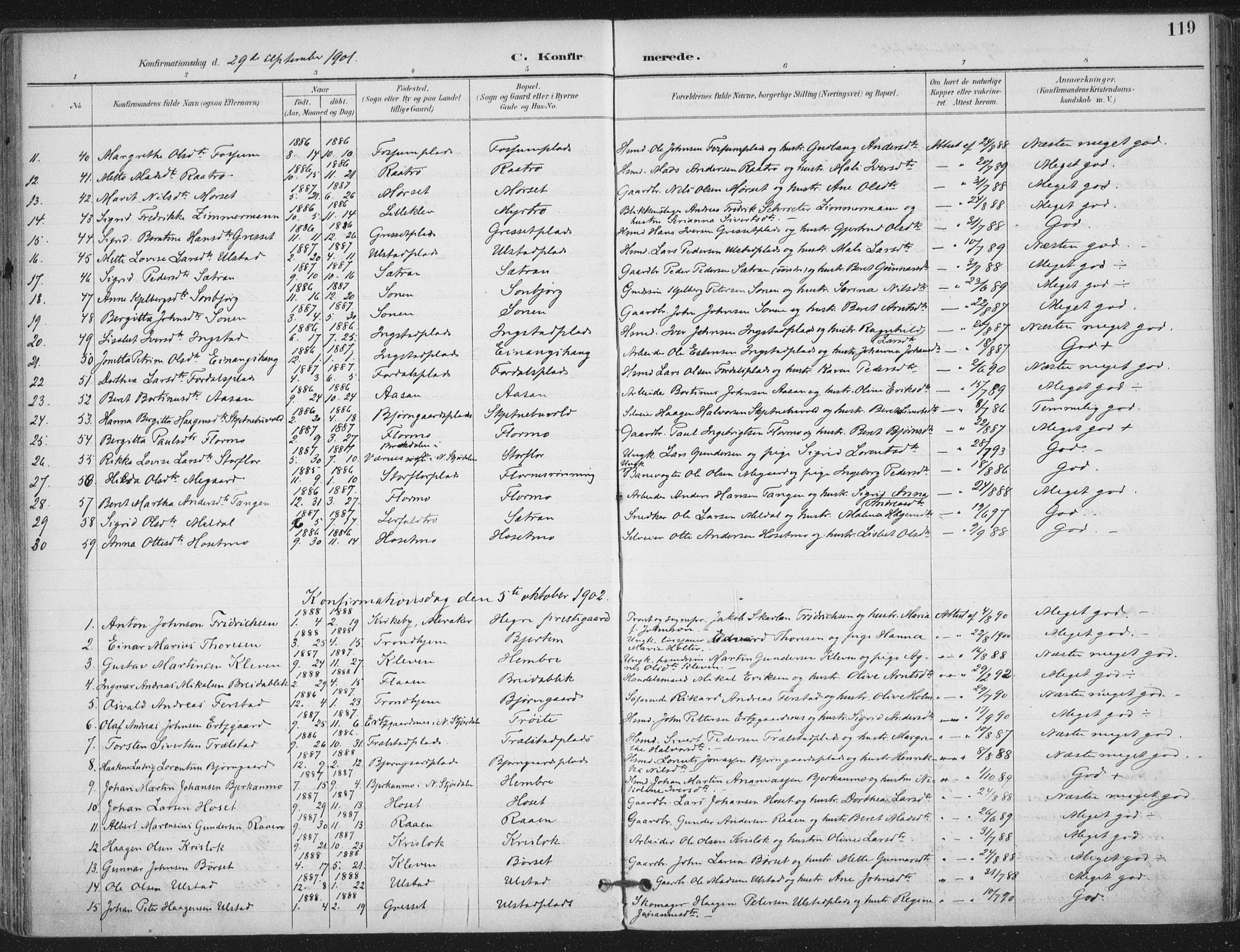 Ministerialprotokoller, klokkerbøker og fødselsregistre - Nord-Trøndelag, SAT/A-1458/703/L0031: Parish register (official) no. 703A04, 1893-1914, p. 119