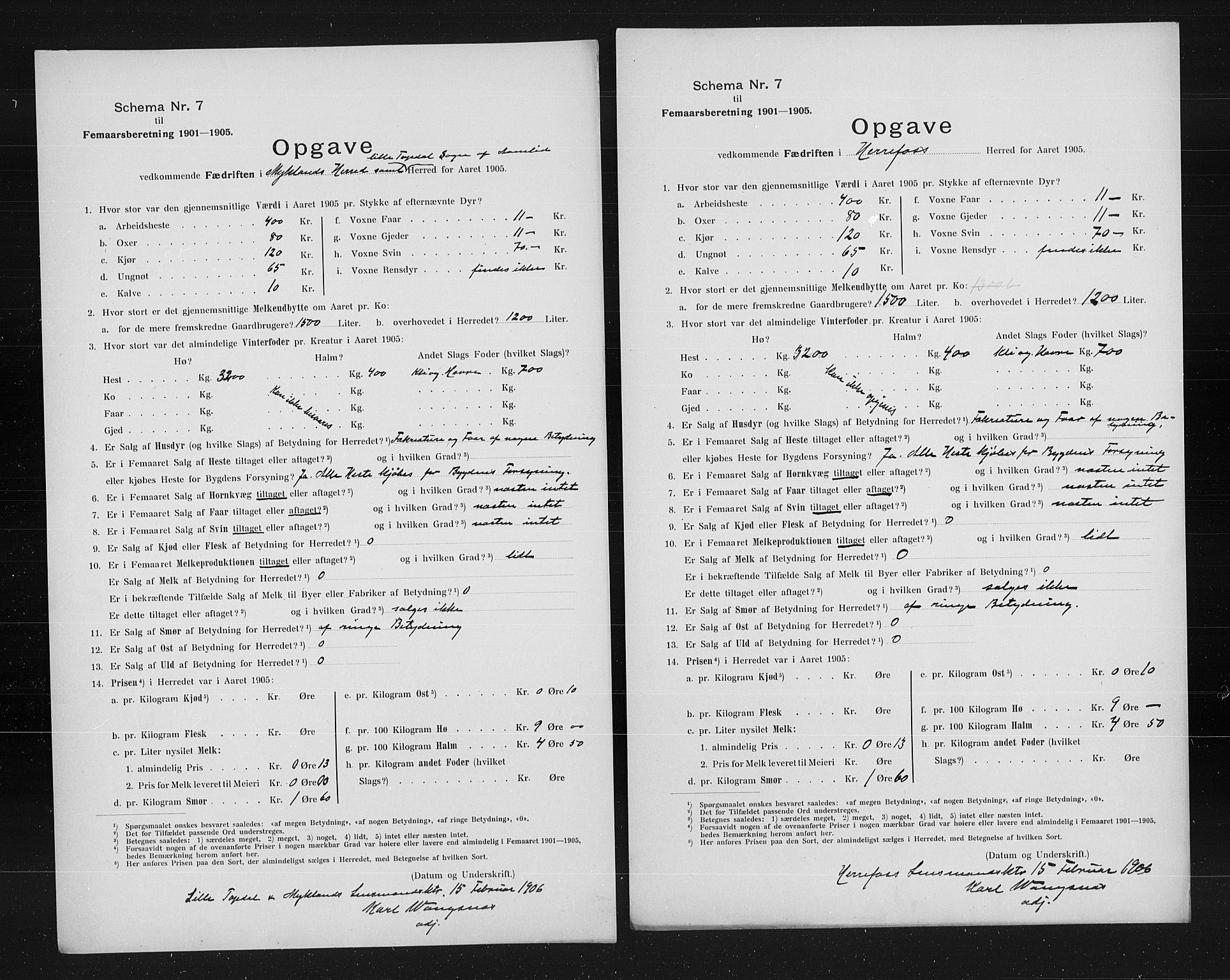 Statistisk sentralbyrå, Næringsøkonomiske emner, Generelt - Amtmennenes femårsberetninger, AV/RA-S-2233/F/Fa/L0099: --, 1905, p. 5