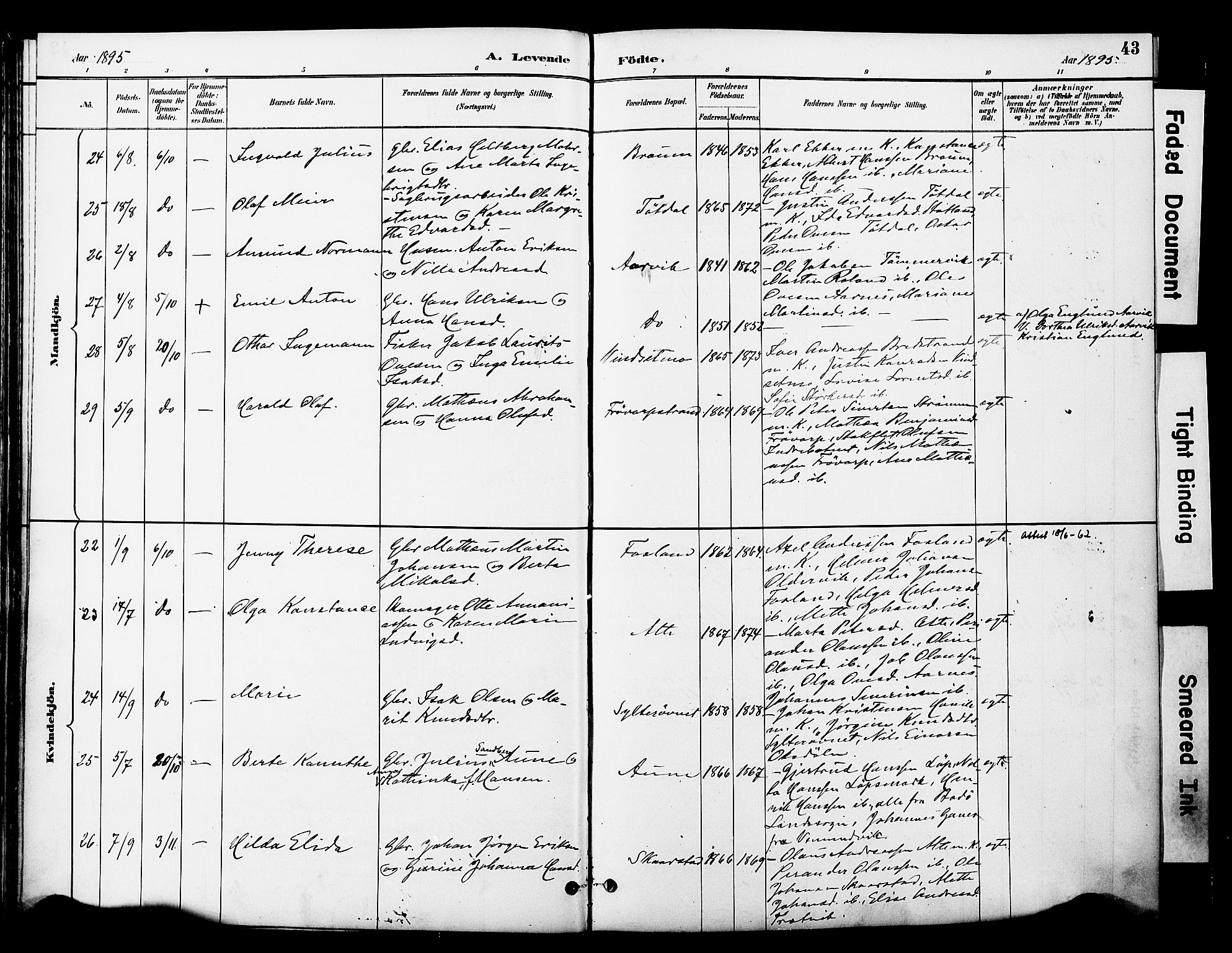 Ministerialprotokoller, klokkerbøker og fødselsregistre - Nord-Trøndelag, AV/SAT-A-1458/774/L0628: Parish register (official) no. 774A02, 1887-1903, p. 43