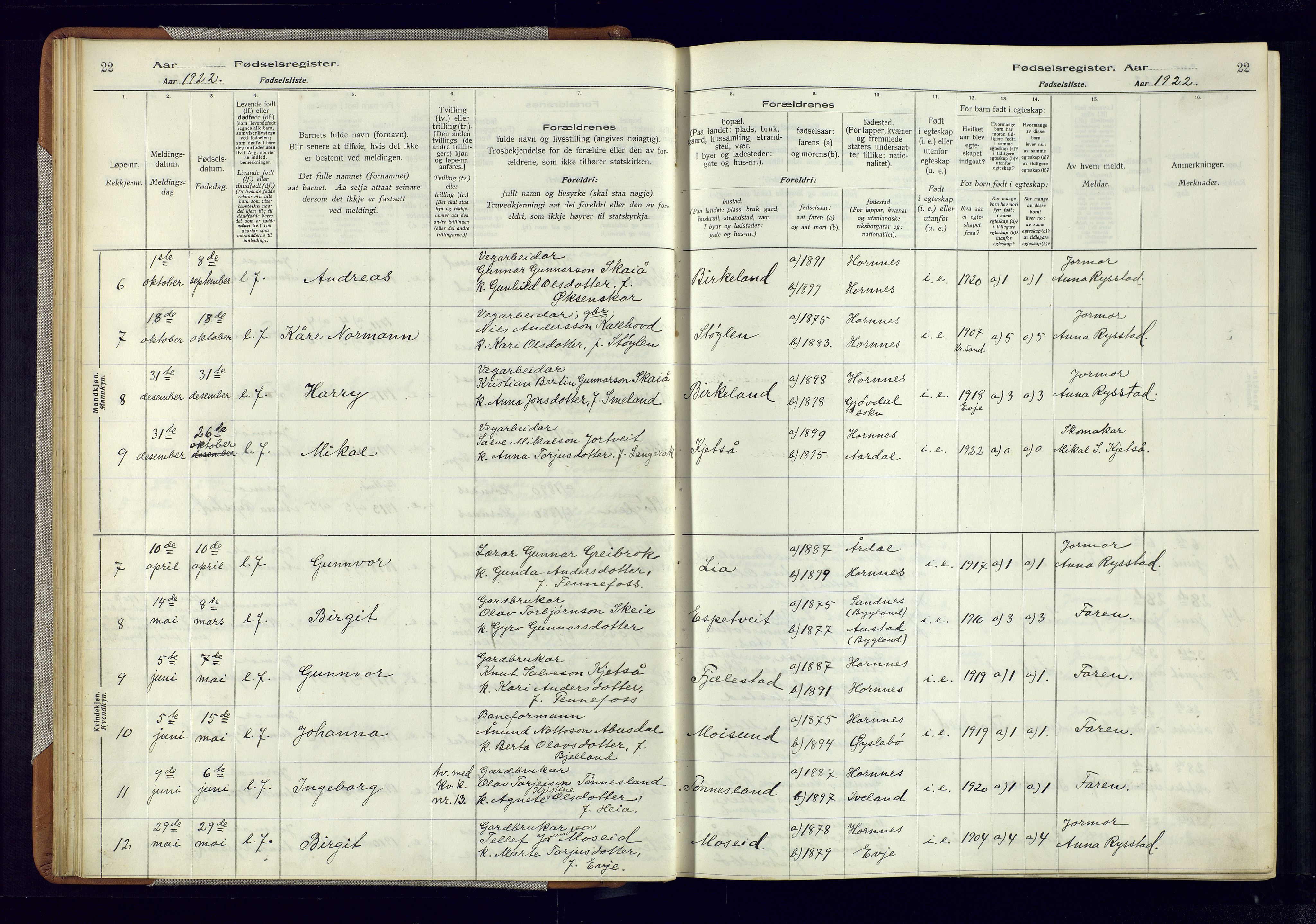 Evje sokneprestkontor, AV/SAK-1111-0008/J/Jc/L0006: Birth register no. 6, 1916-1982, p. 22