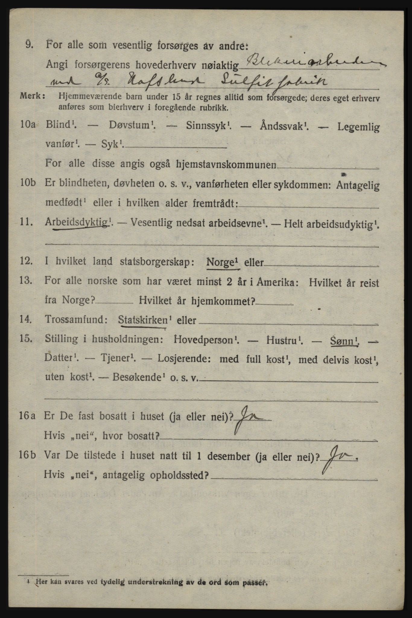 SAO, 1920 census for Skjeberg, 1920, p. 10190