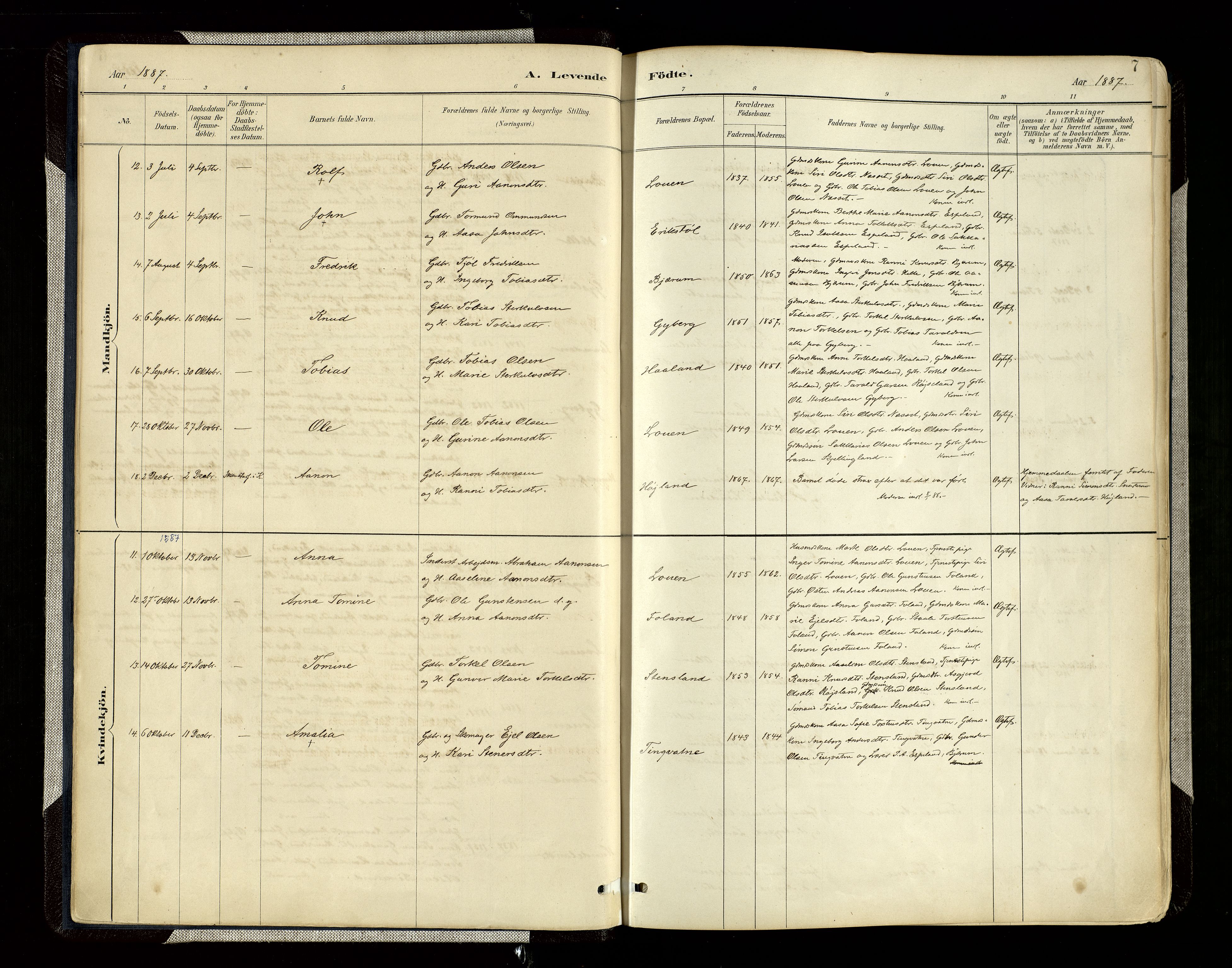 Hægebostad sokneprestkontor, SAK/1111-0024/F/Fa/Faa/L0006: Parish register (official) no. A 6, 1887-1929, p. 7