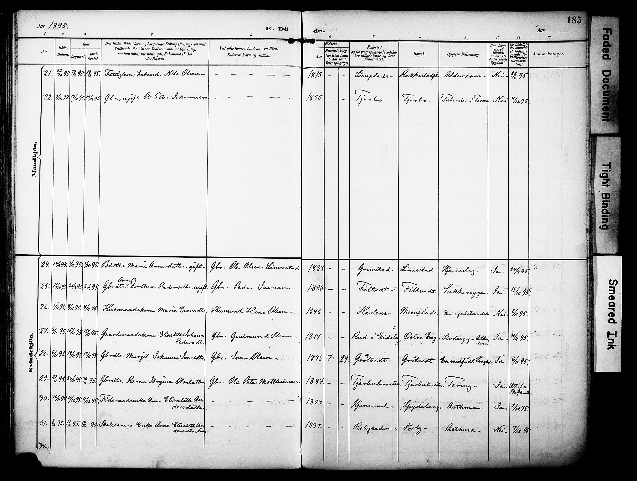 Rakkestad prestekontor Kirkebøker, AV/SAO-A-2008/F/Fa/L0013: Parish register (official) no. I 13, 1894-1908, p. 185