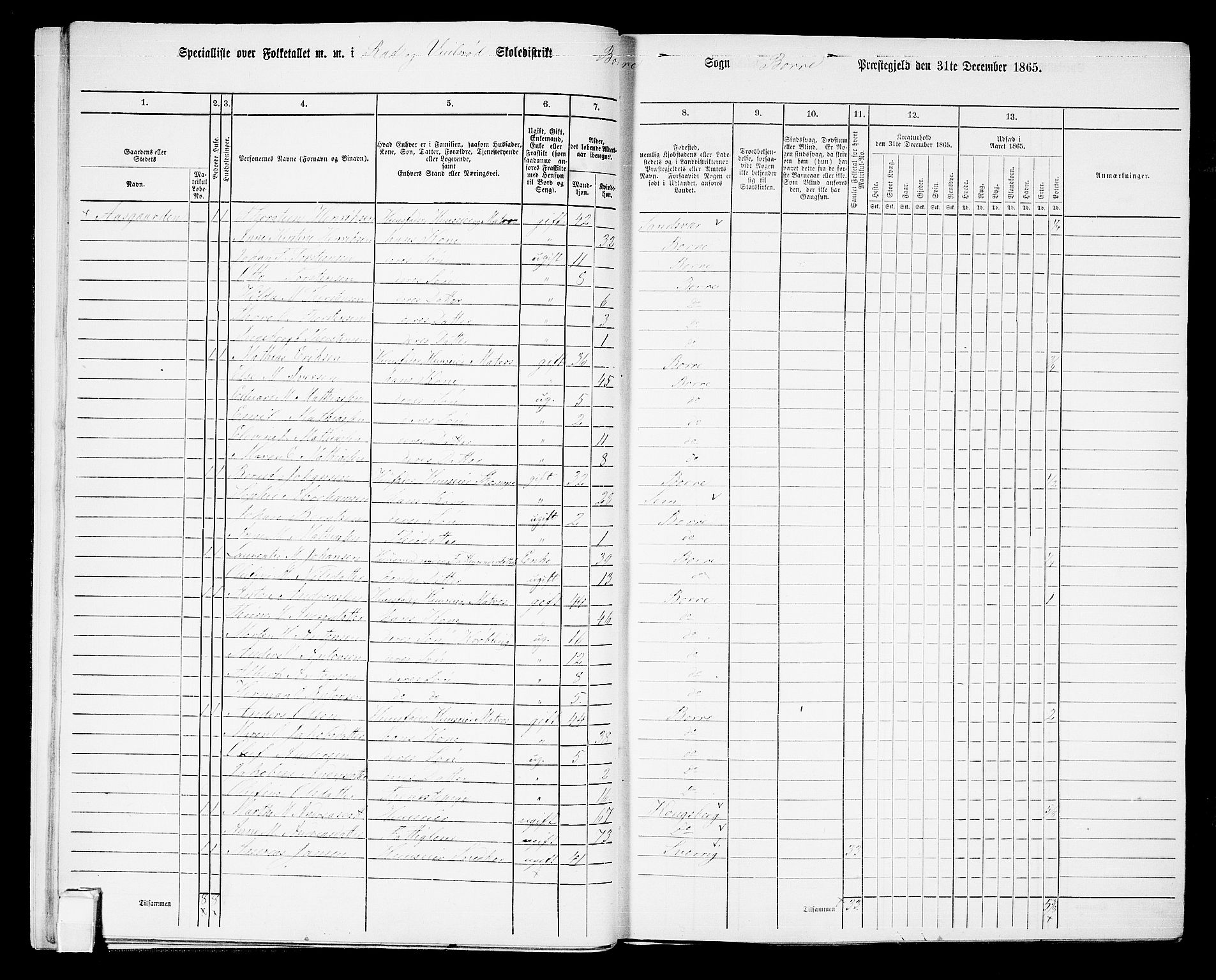RA, 1865 census for Borre, 1865, p. 36