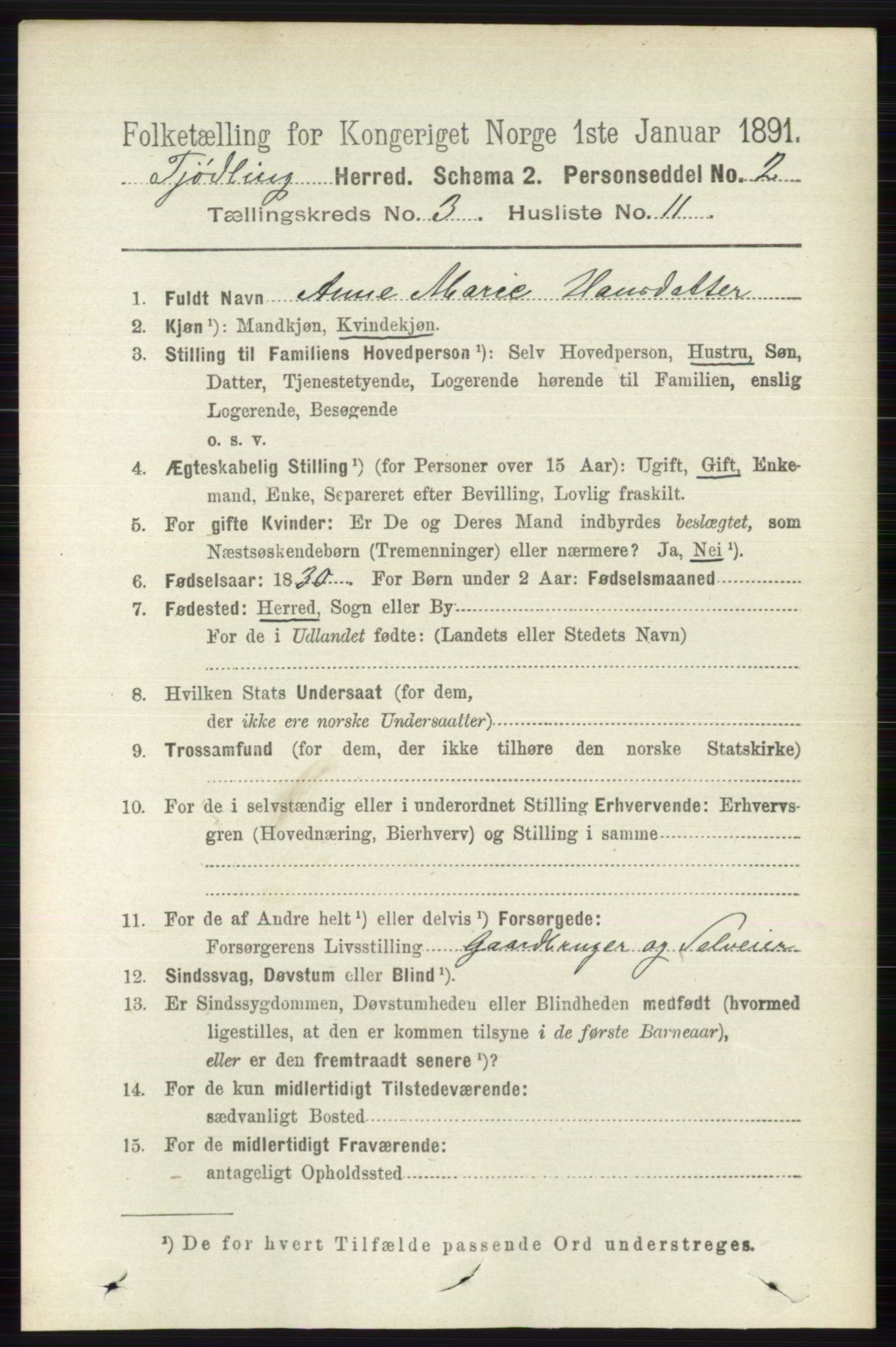 RA, 1891 census for 0725 Tjølling, 1891, p. 985