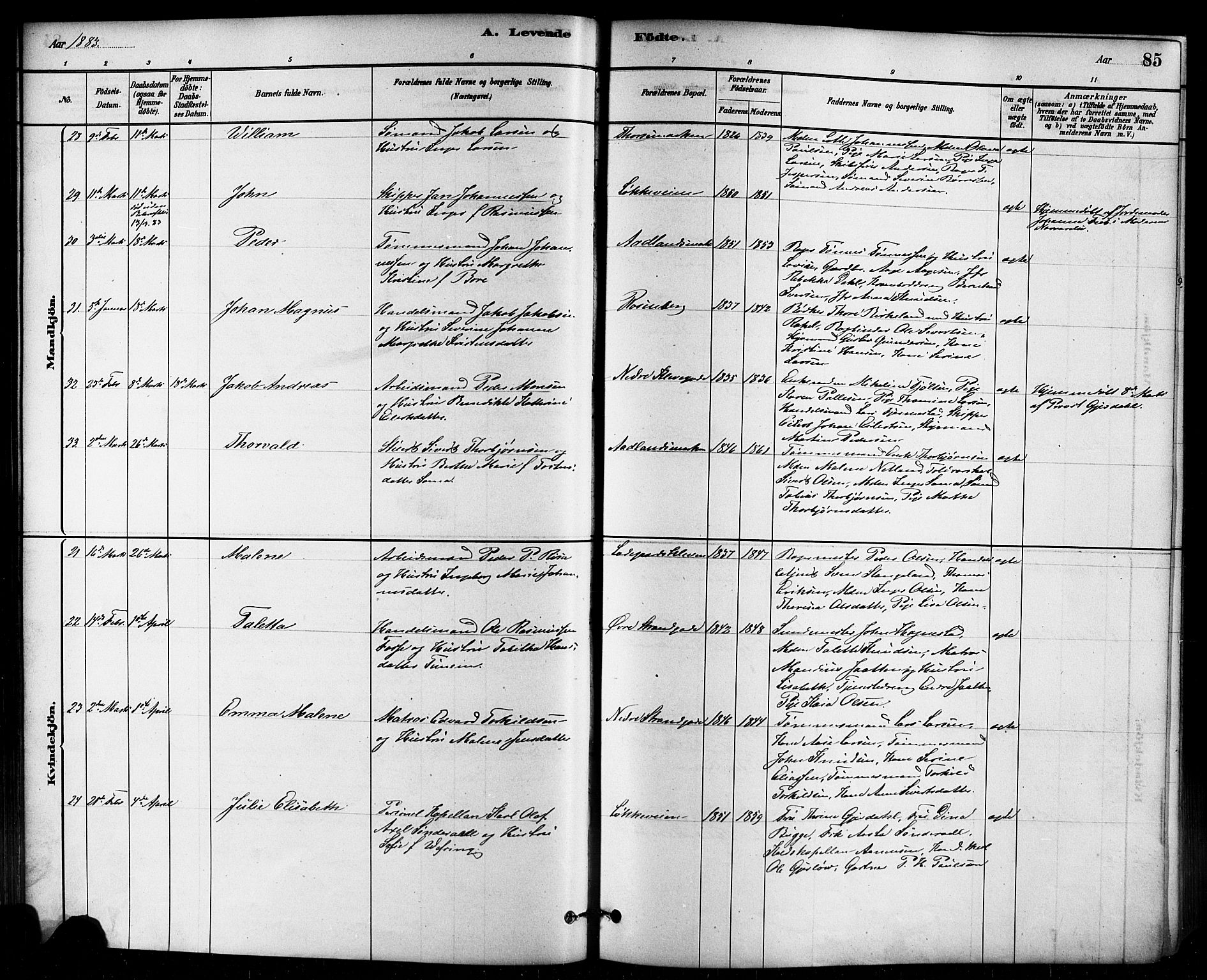 Domkirken sokneprestkontor, SAST/A-101812/001/30/30BB/L0015: Parish register (copy) no. B 15, 1880-1891, p. 85