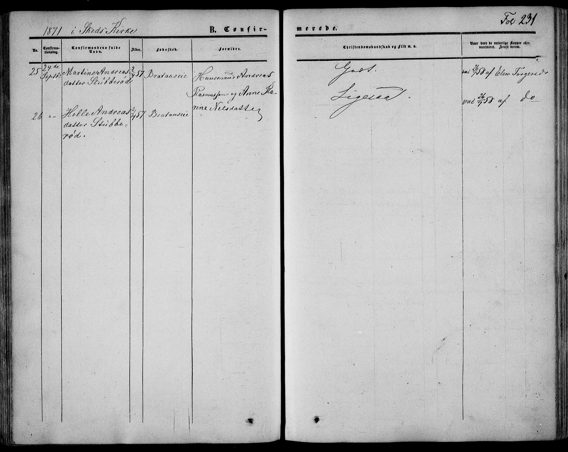Stokke kirkebøker, SAKO/A-320/F/Fa/L0008: Parish register (official) no. I 8, 1858-1871, p. 231