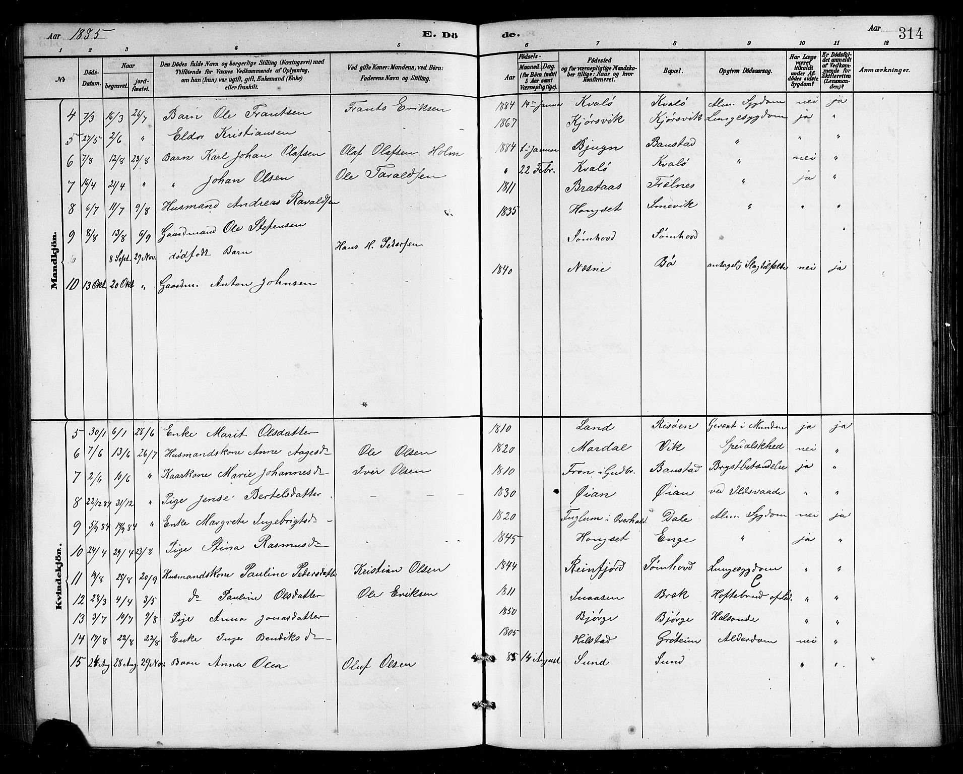 Ministerialprotokoller, klokkerbøker og fødselsregistre - Nordland, SAT/A-1459/812/L0188: Parish register (copy) no. 812C06, 1884-1912, p. 314