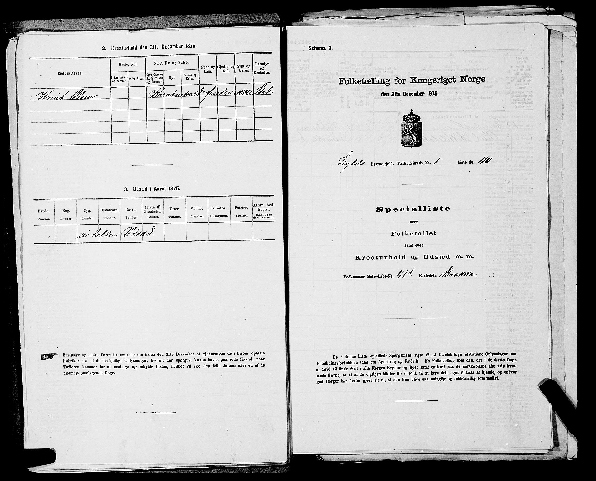 SAKO, 1875 census for 0621P Sigdal, 1875, p. 303