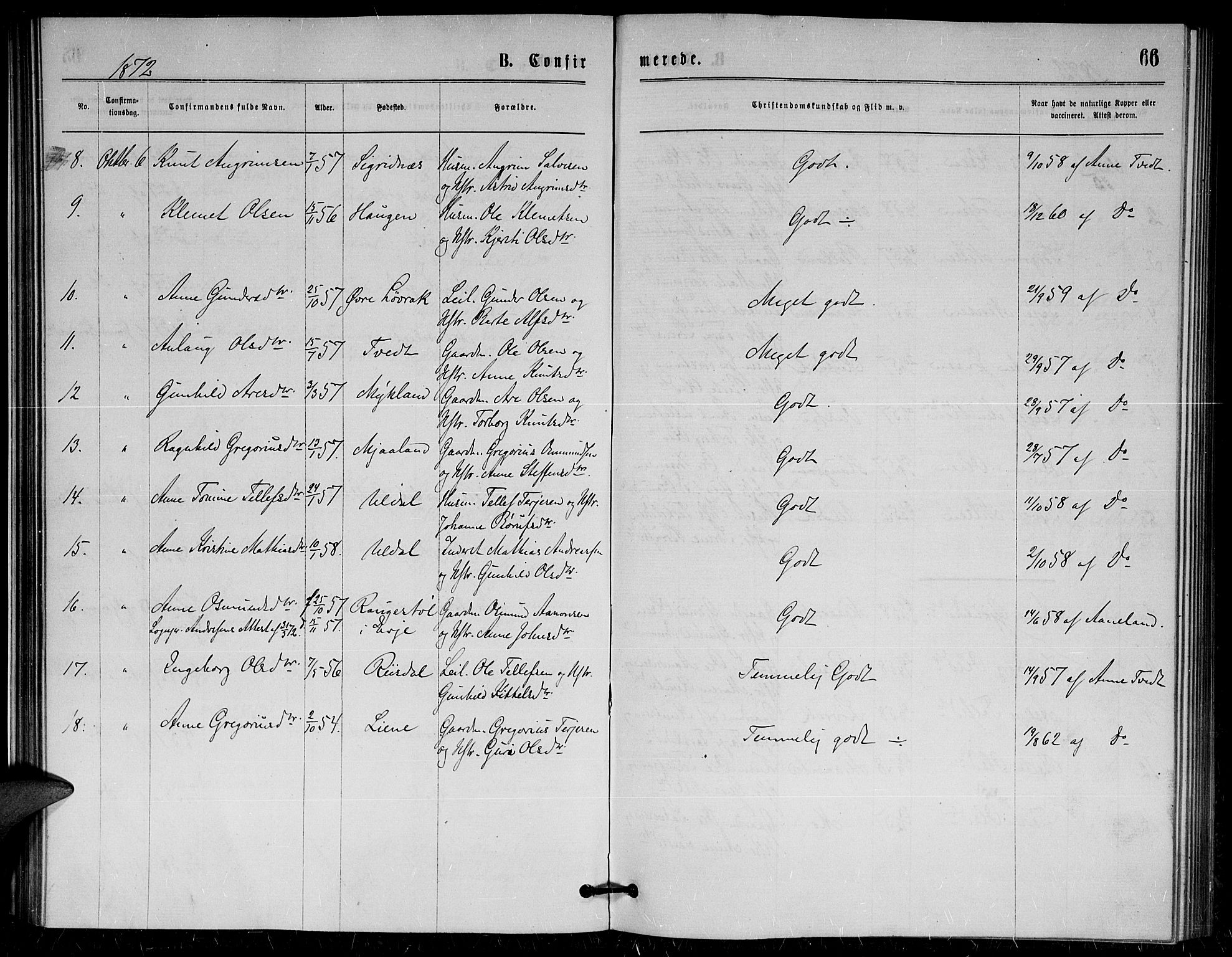 Herefoss sokneprestkontor, SAK/1111-0019/F/Fa/Fac/L0001: Parish register (official) no. A 1, 1871-1886, p. 66